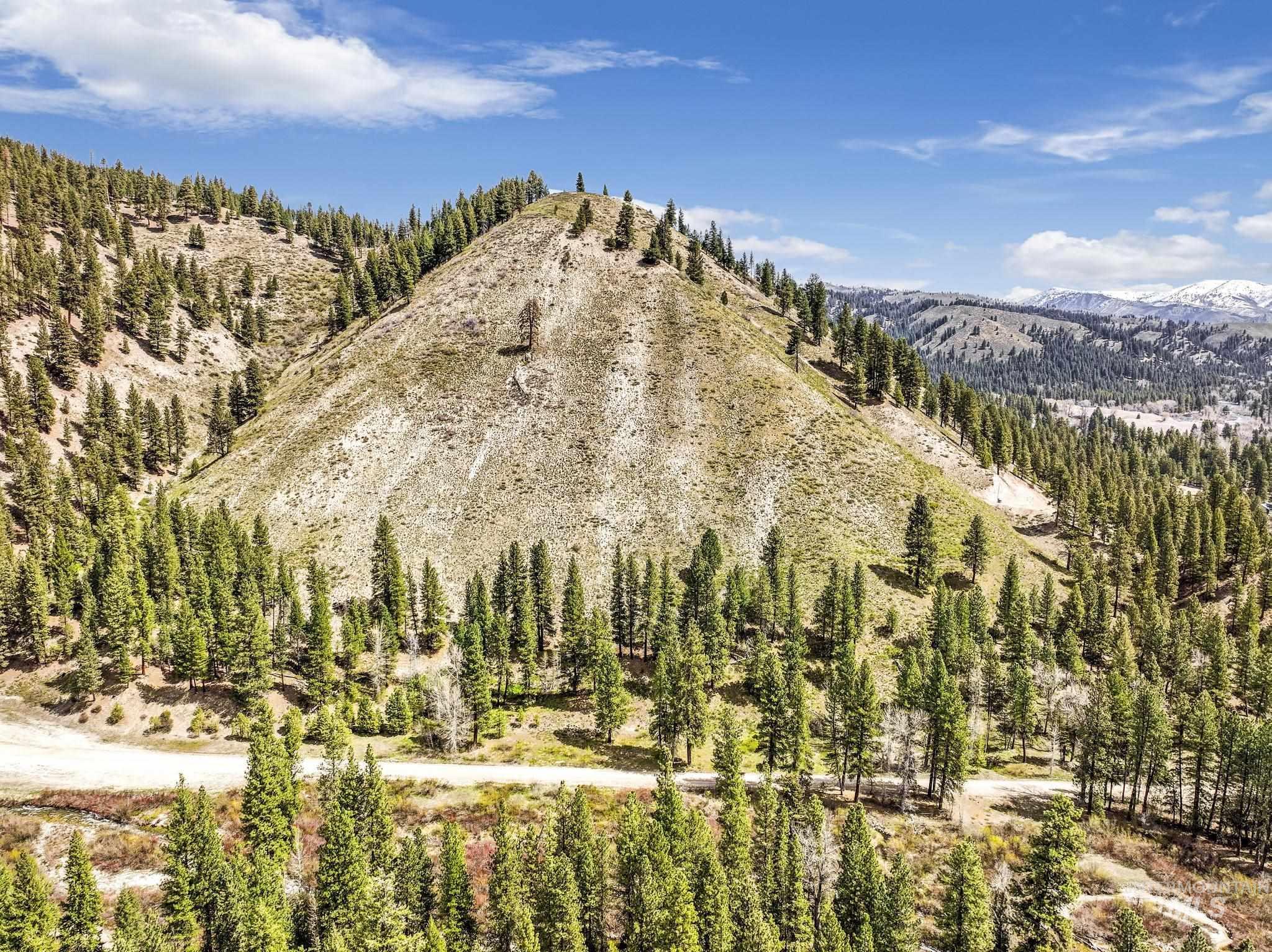 TBD Trinity Creek RD, Featherville, Idaho 83647, Land For Sale, Price $260,000,MLS 98975684