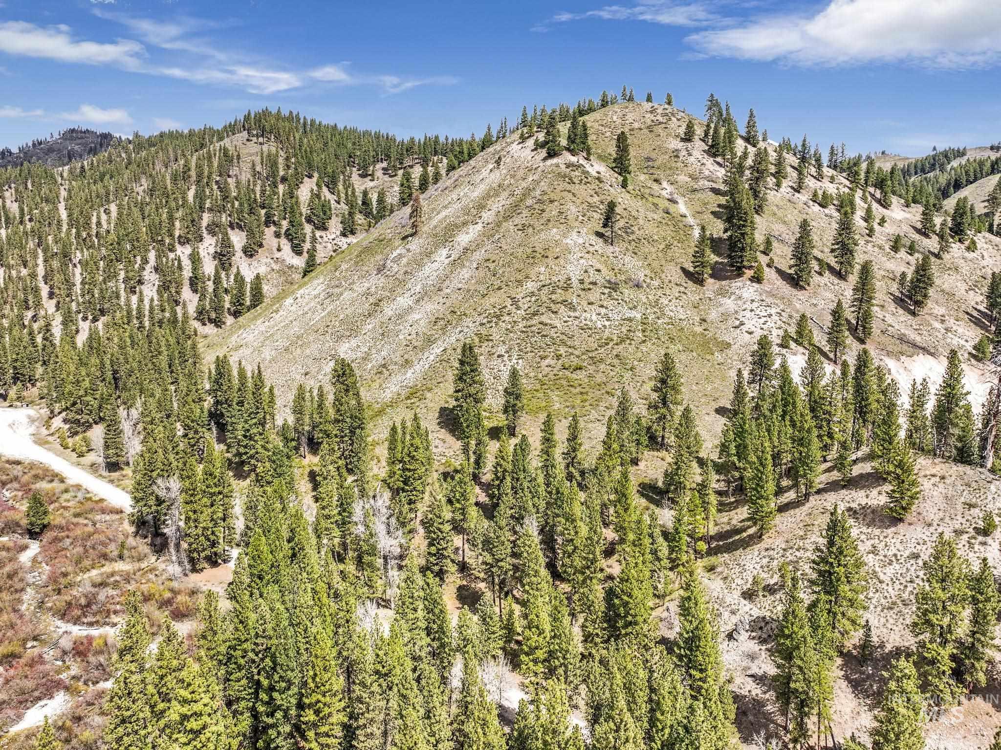 TBD Trinity Creek RD, Featherville, Idaho 83647, Land For Sale, Price $260,000,MLS 98975684