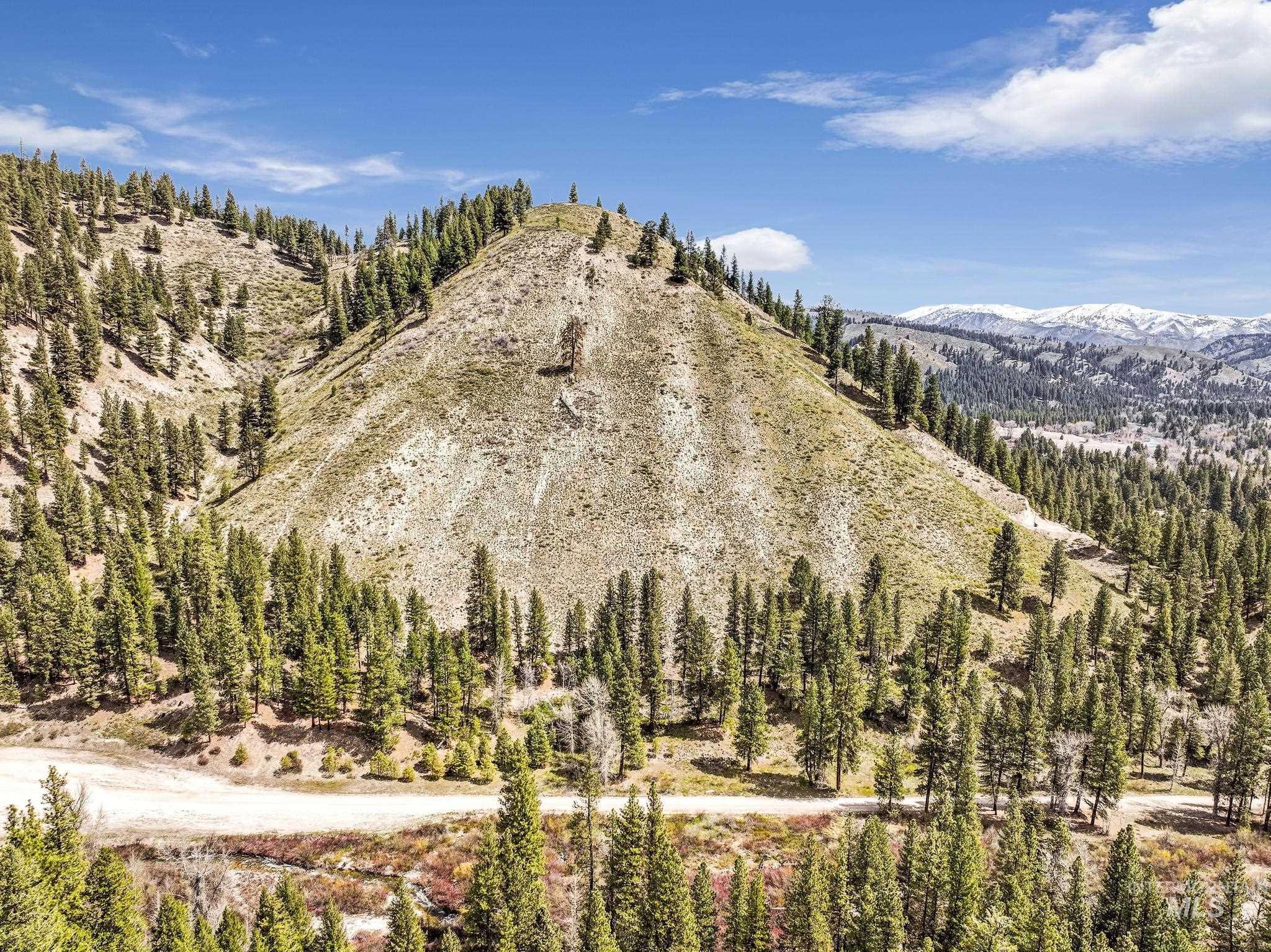 TBD Trinity Creek RD, Featherville, Idaho 83647, Land For Sale, Price $260,000,MLS 98975684