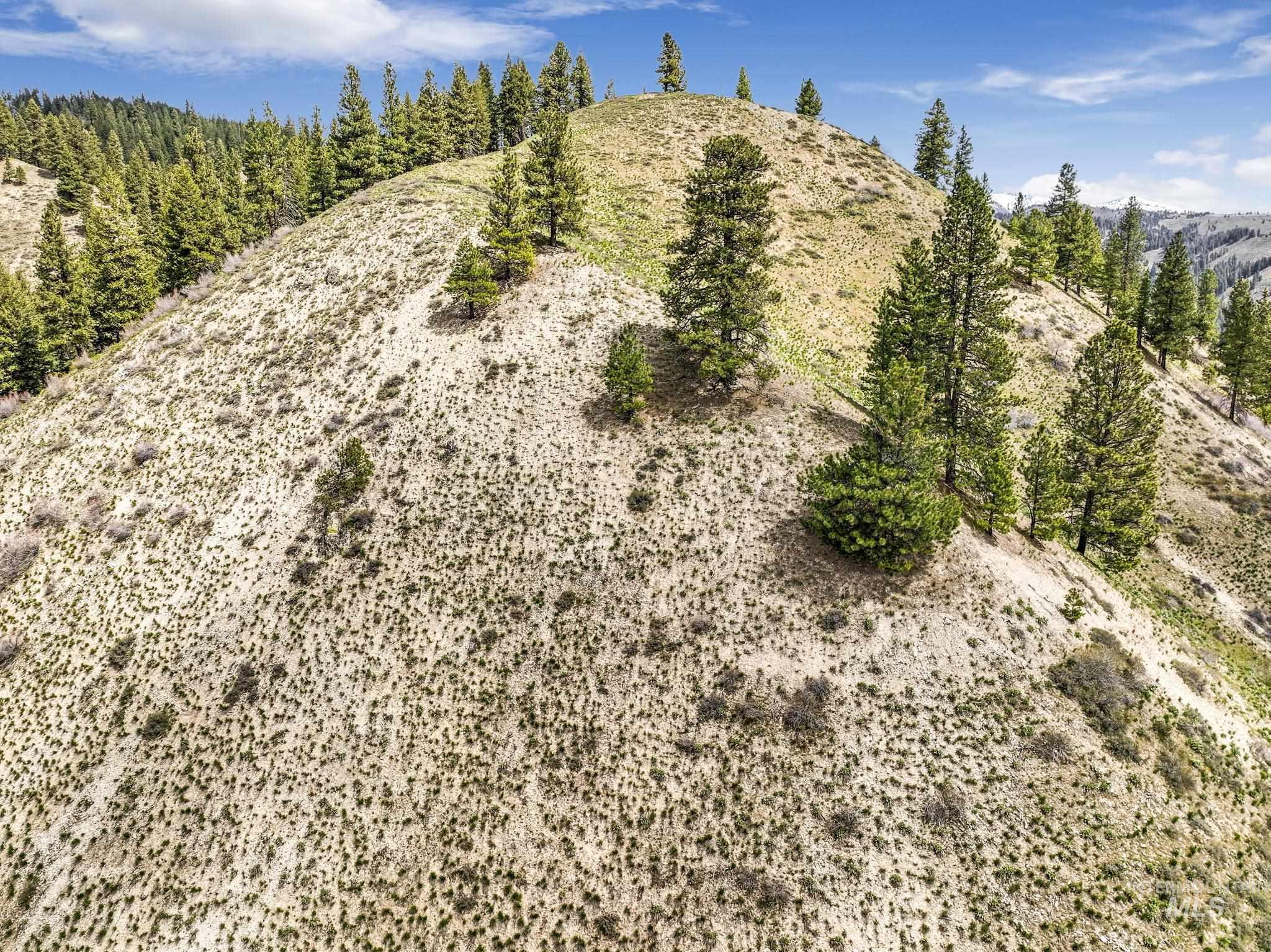 TBD Trinity Creek RD, Featherville, Idaho 83647, Land For Sale, Price $260,000,MLS 98975684