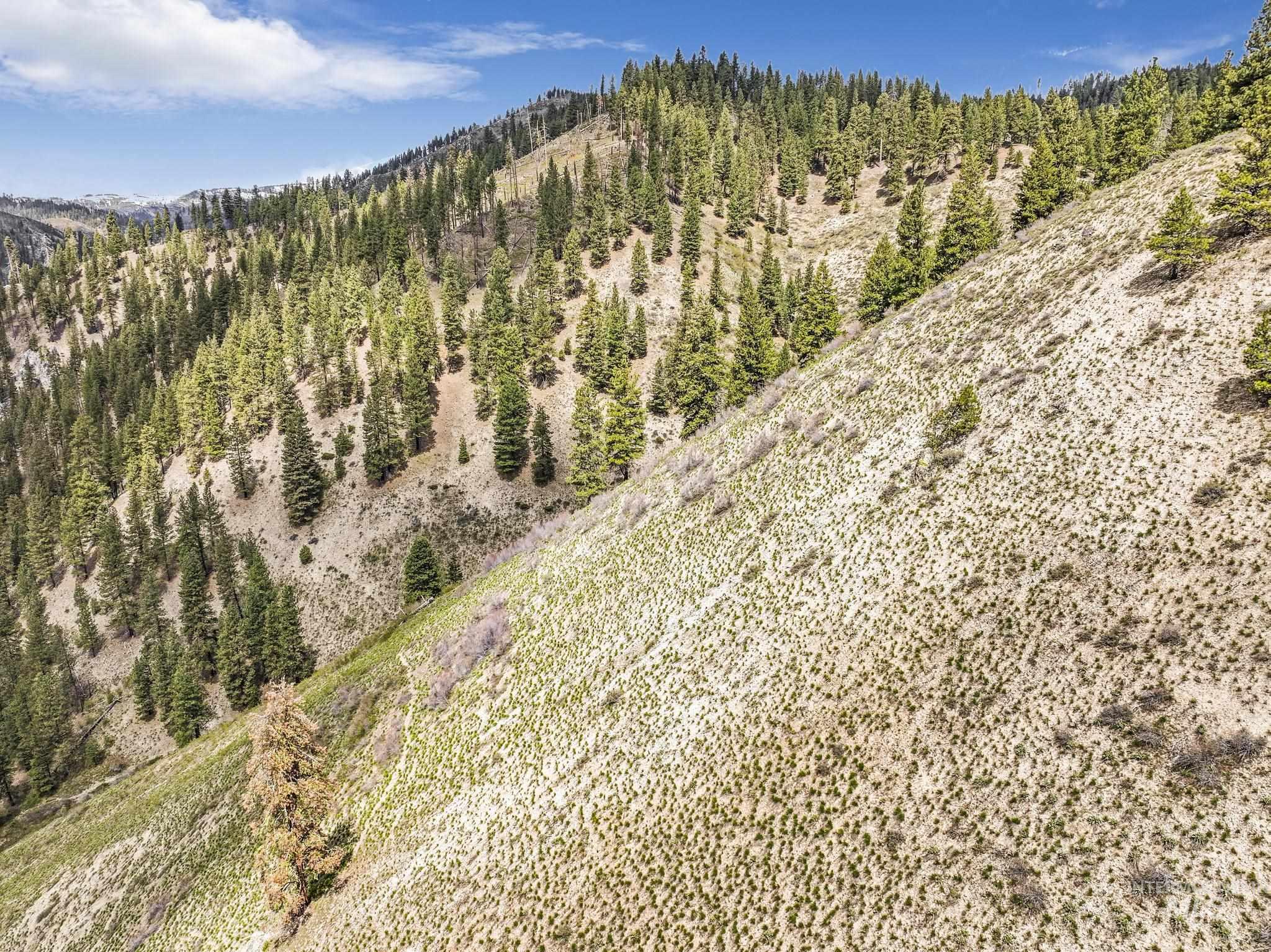 TBD Trinity Creek RD, Featherville, Idaho 83647, Land For Sale, Price $260,000,MLS 98975684
