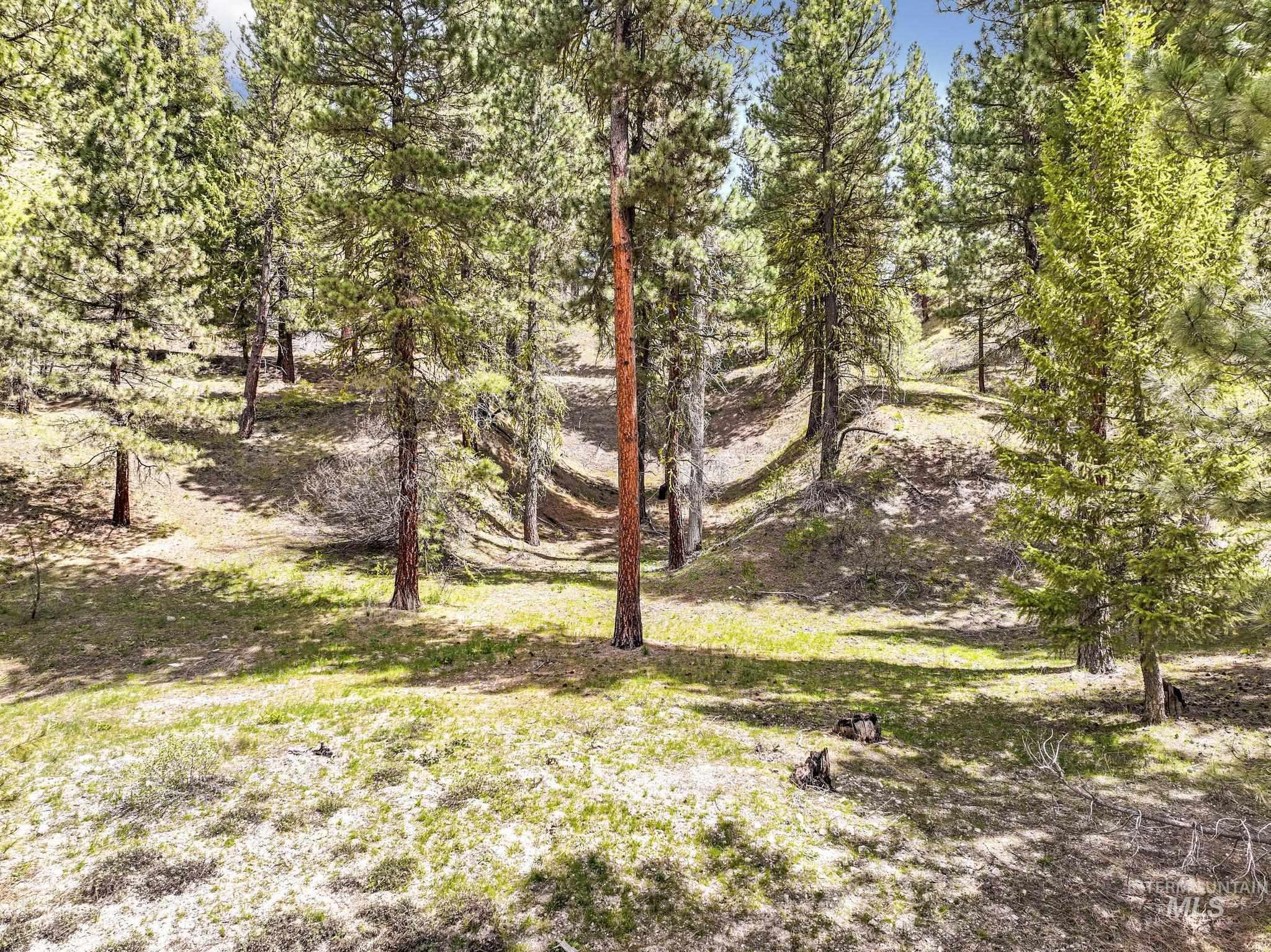 TBD Trinity Creek RD, Featherville, Idaho 83647, Land For Sale, Price $260,000,MLS 98975684