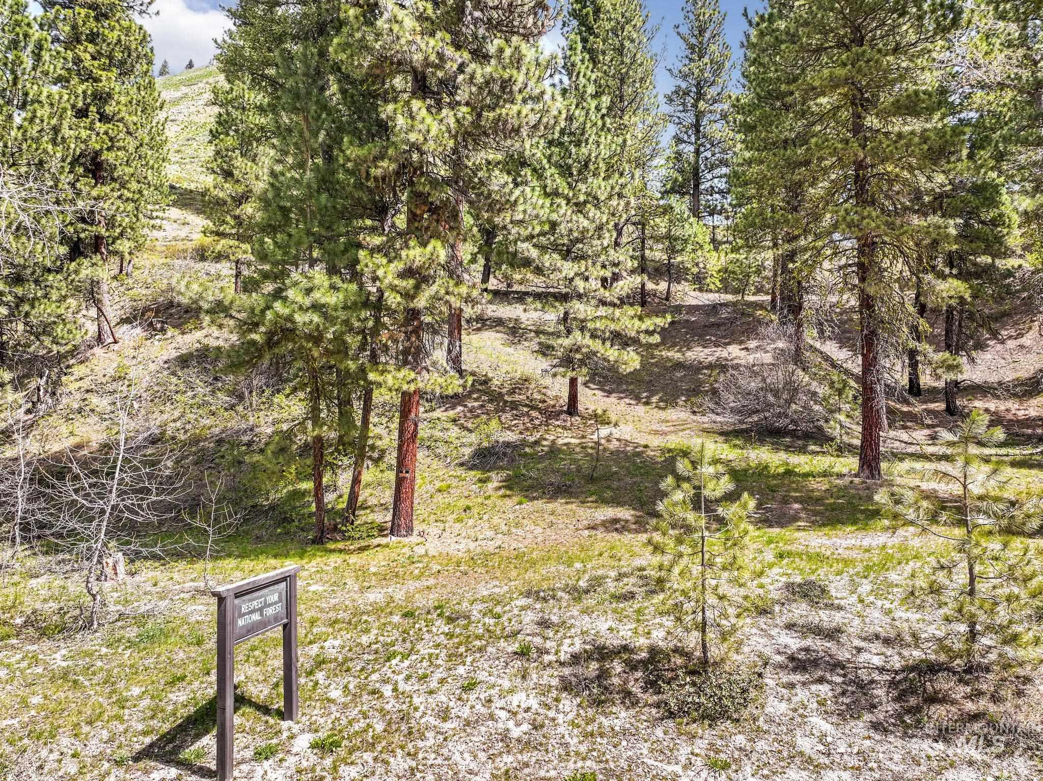 TBD Trinity Creek RD, Featherville, Idaho 83647, Land For Sale, Price $260,000,MLS 98975684