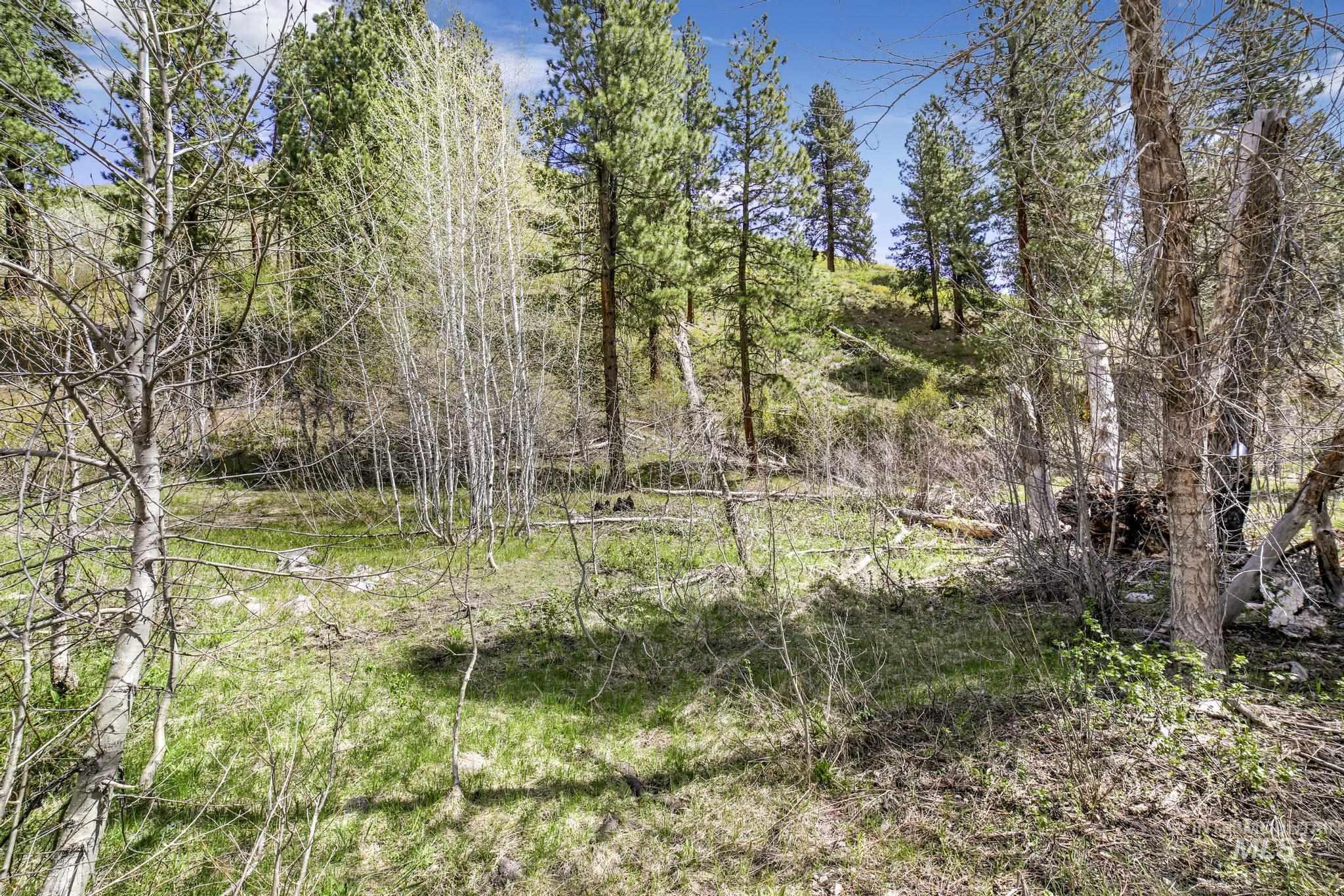 TBD Trinity Creek RD, Featherville, Idaho 83647, Land For Sale, Price $260,000,MLS 98975684