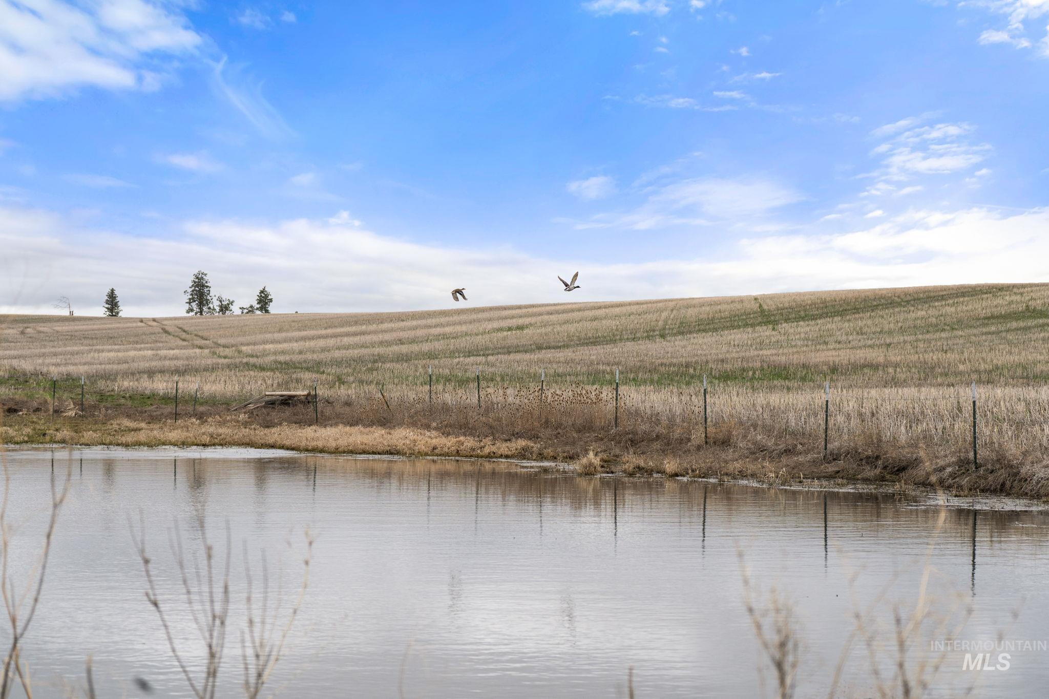 2326 Reubens Road, Reubens, Idaho 83548, Land For Sale, Price $1,299,000,MLS 98975689