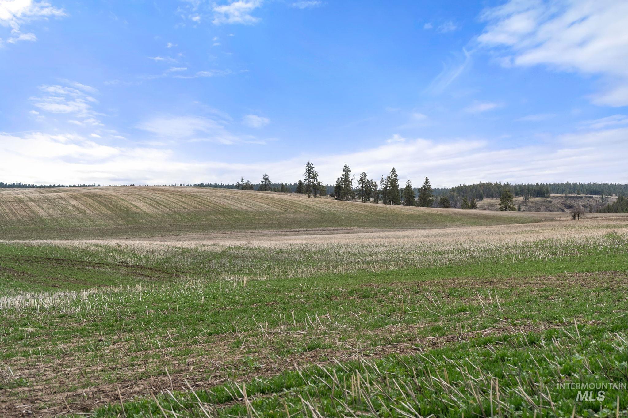 2326 Reubens Road, Reubens, Idaho 83548, Land For Sale, Price $1,299,000,MLS 98975689