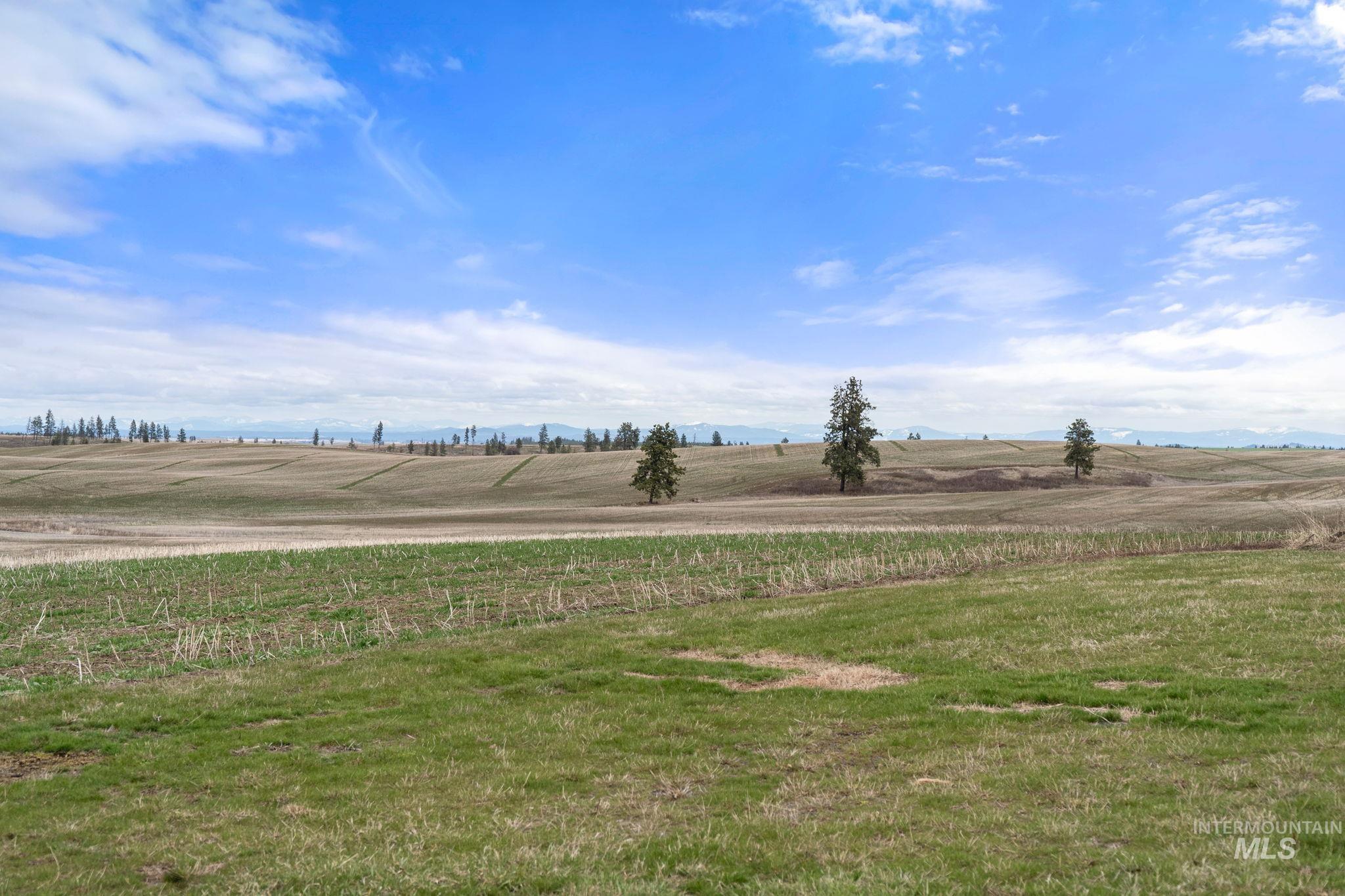 2326 Reubens Road, Reubens, Idaho 83548, Land For Sale, Price $1,299,000,MLS 98975689