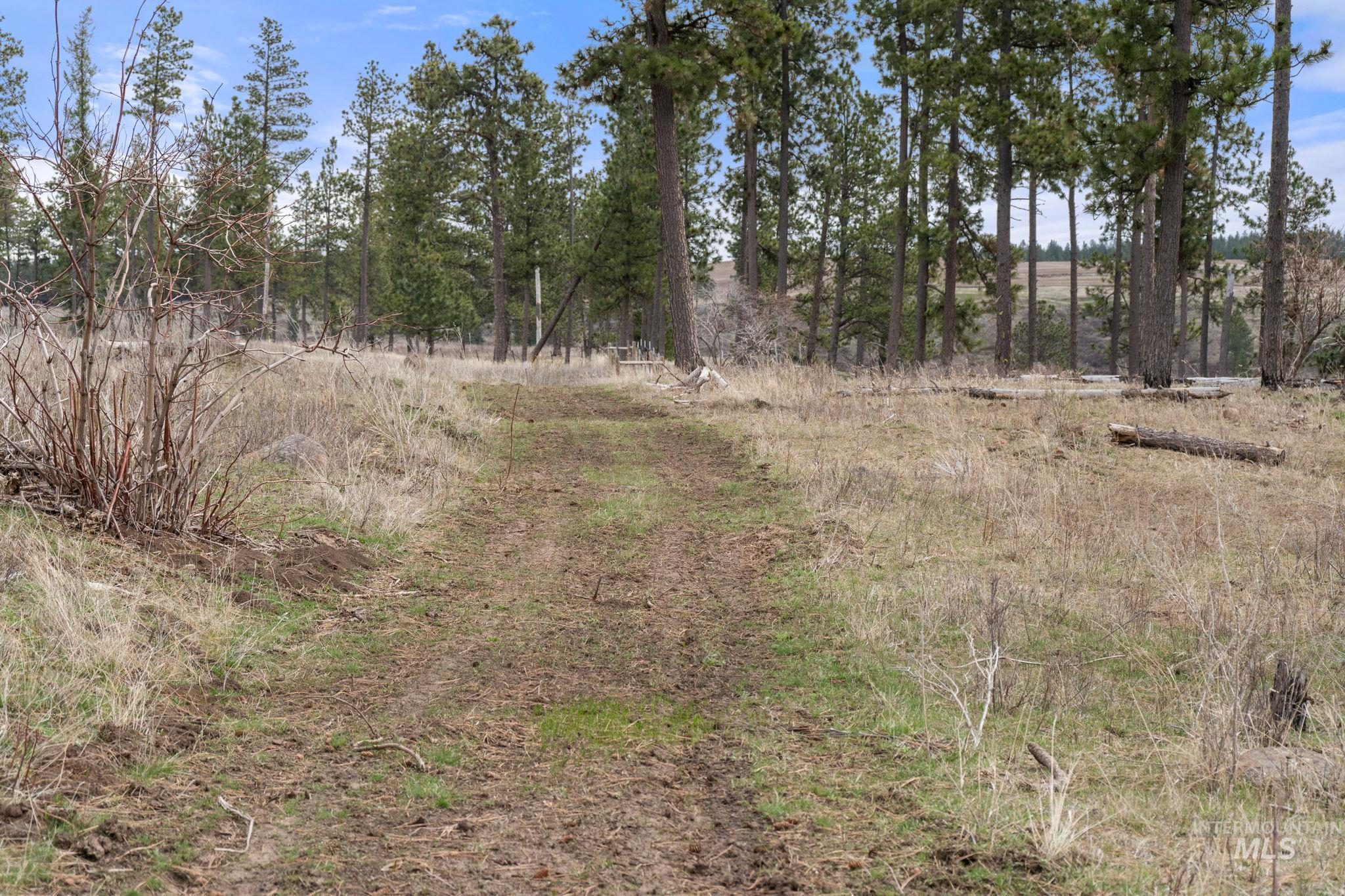 2326 Reubens Road, Reubens, Idaho 83548, Land For Sale, Price $1,299,000,MLS 98975689