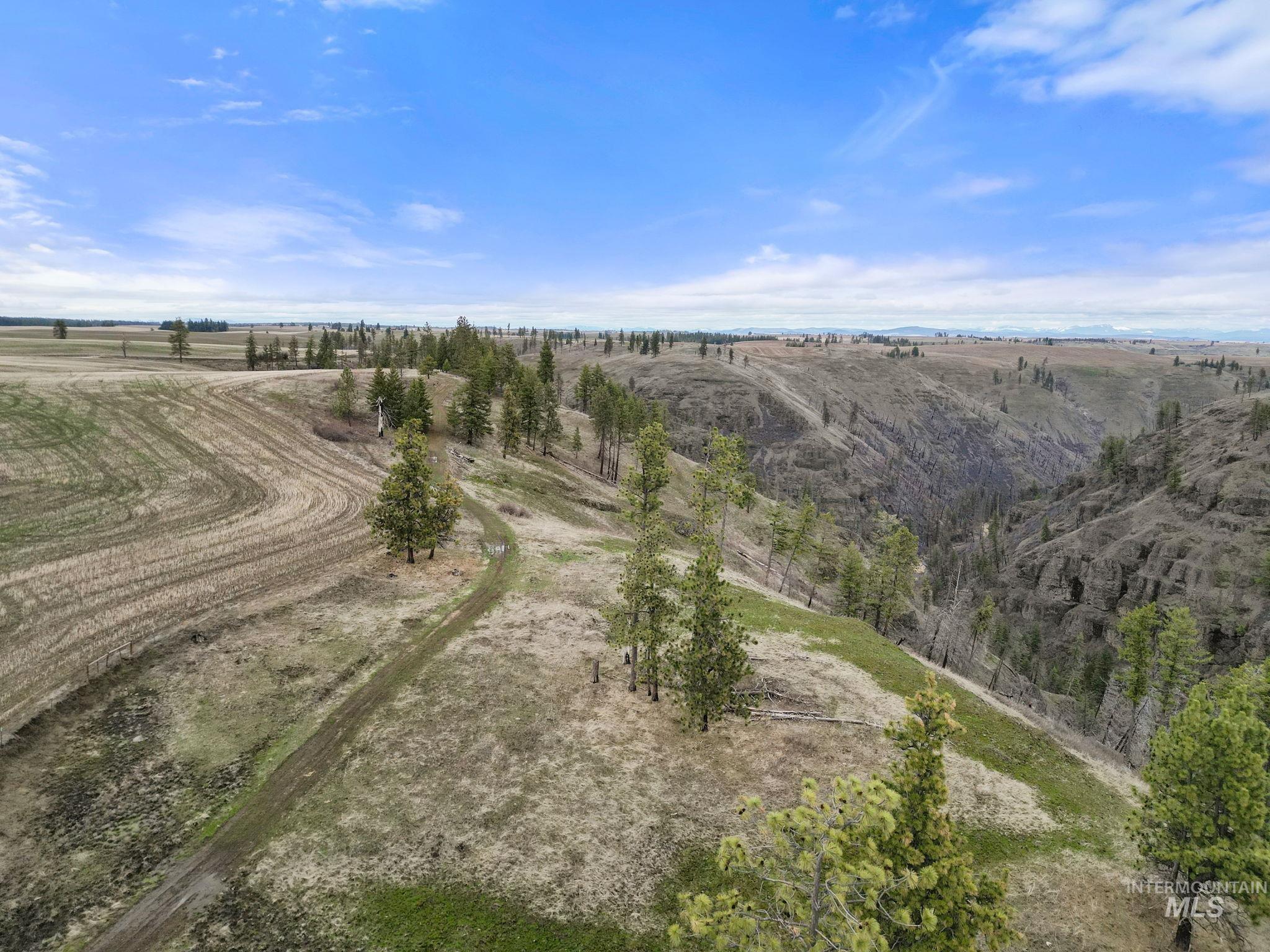 2326 Reubens Road, Reubens, Idaho 83548, Land For Sale, Price $1,299,000,MLS 98975689
