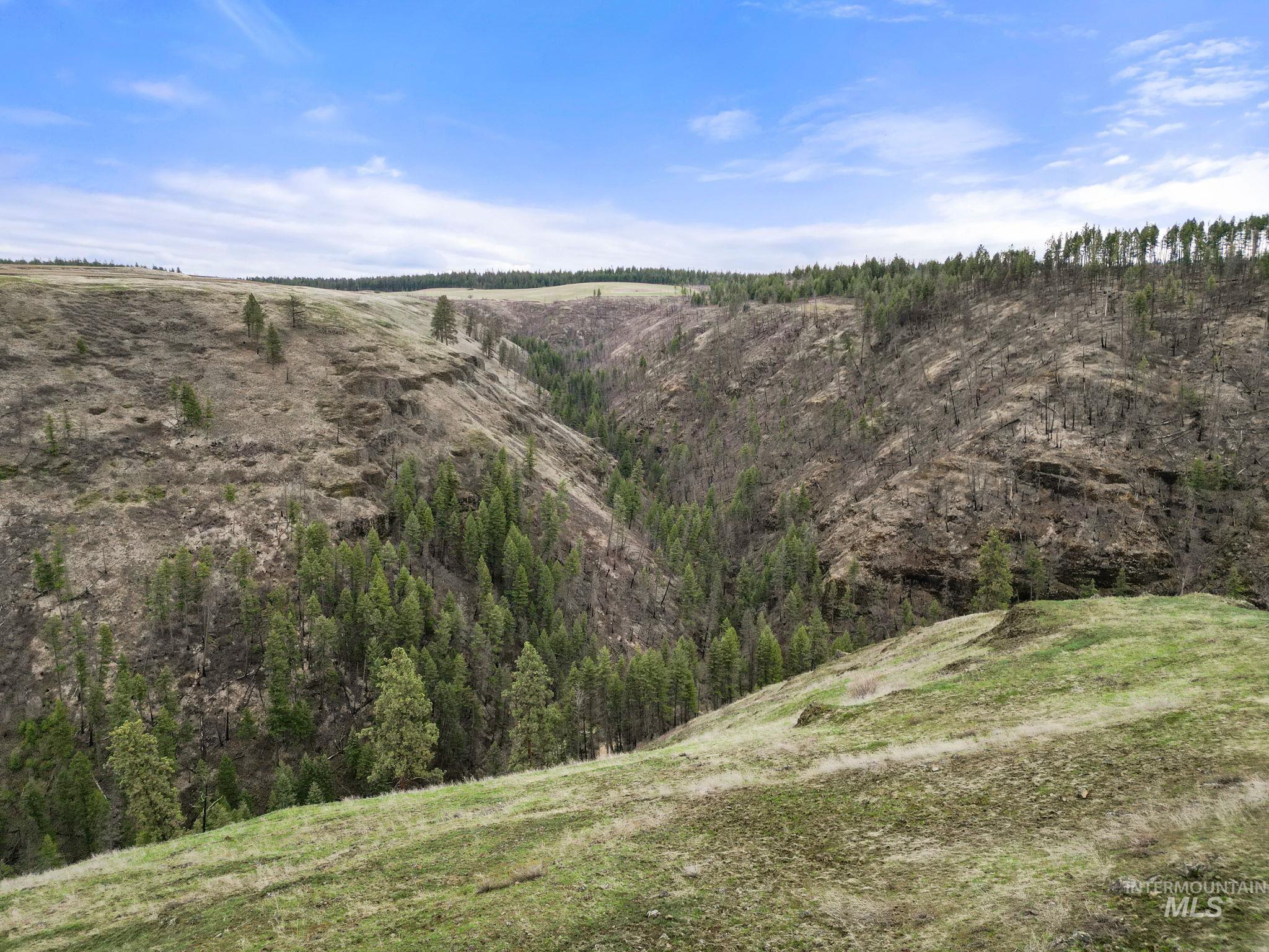 2326 Reubens Road, Reubens, Idaho 83548, Land For Sale, Price $1,299,000,MLS 98975689