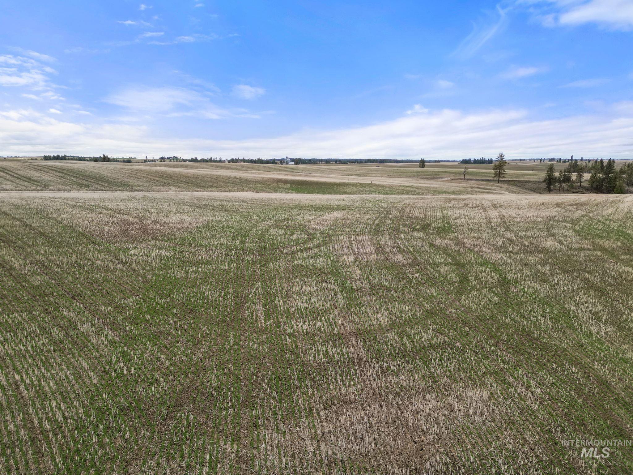 2326 Reubens Road, Reubens, Idaho 83548, Land For Sale, Price $1,299,000,MLS 98975689