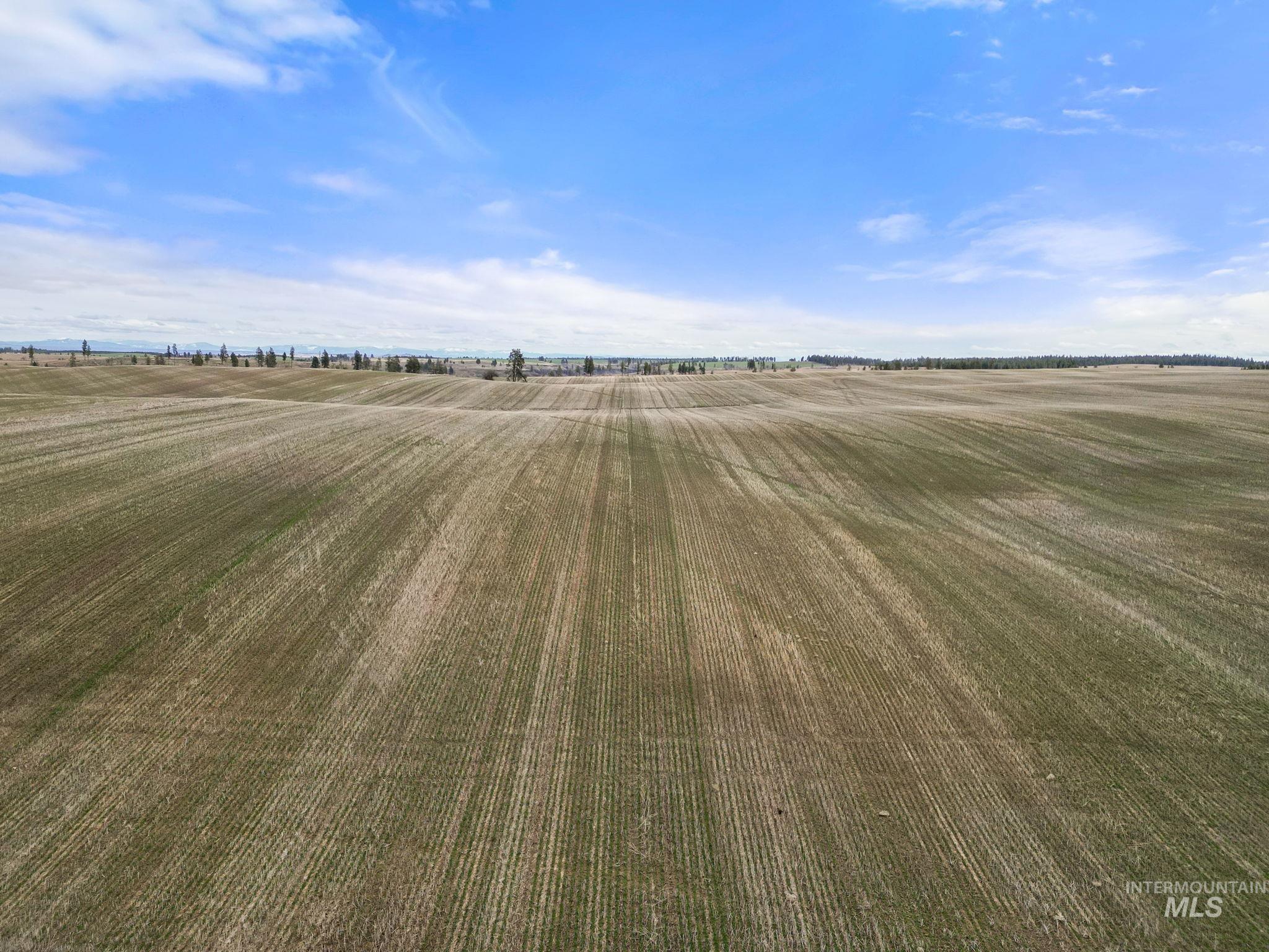 2326 Reubens Road, Reubens, Idaho 83548, Land For Sale, Price $1,299,000,MLS 98975689