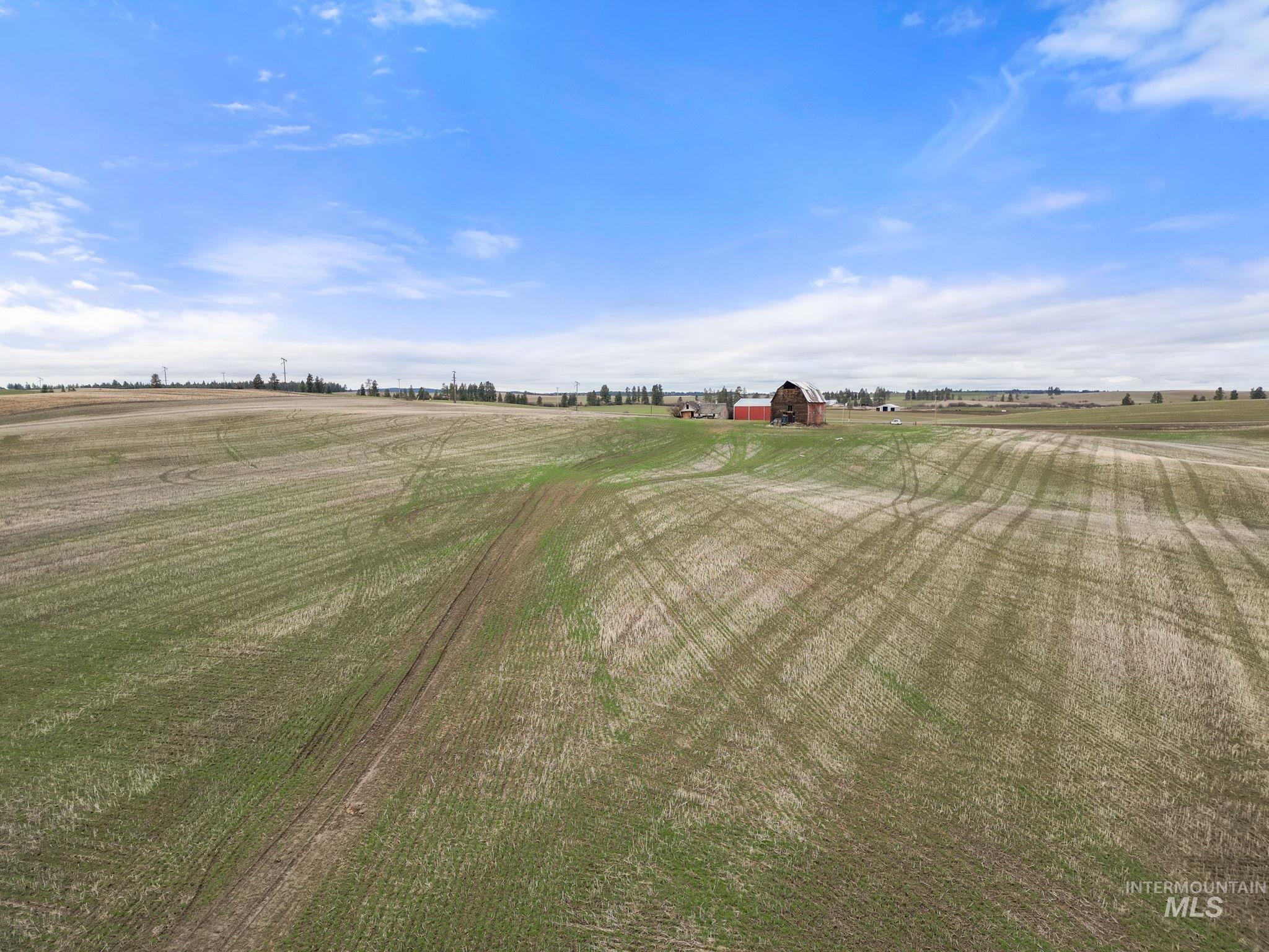2326 Reubens Road, Reubens, Idaho 83548, Farm & Ranch For Sale, Price $1,299,000, 98975690