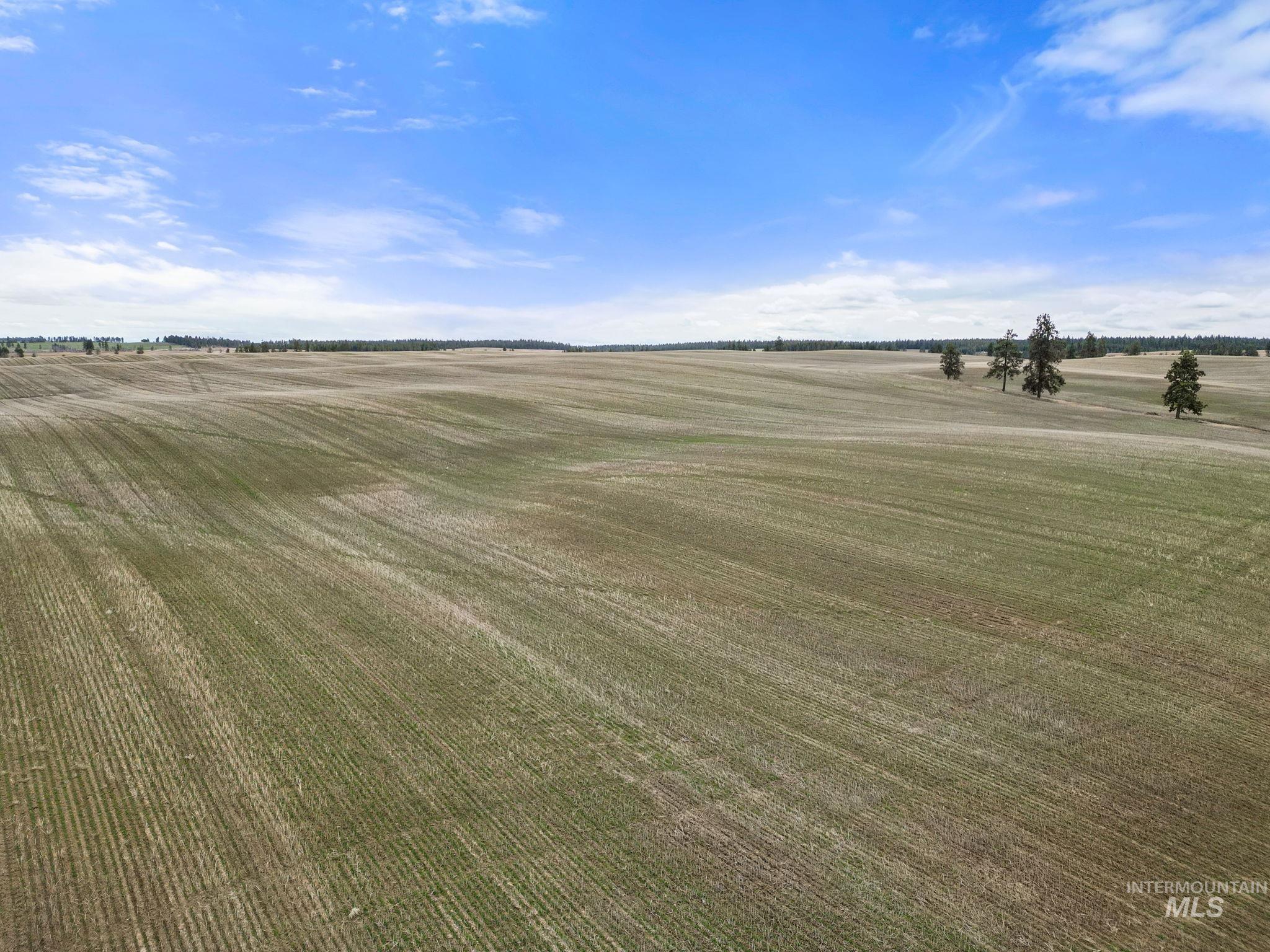 2326 Reubens Road, Reubens, Idaho 83548, Farm & Ranch For Sale, Price $1,299,000, 98975690