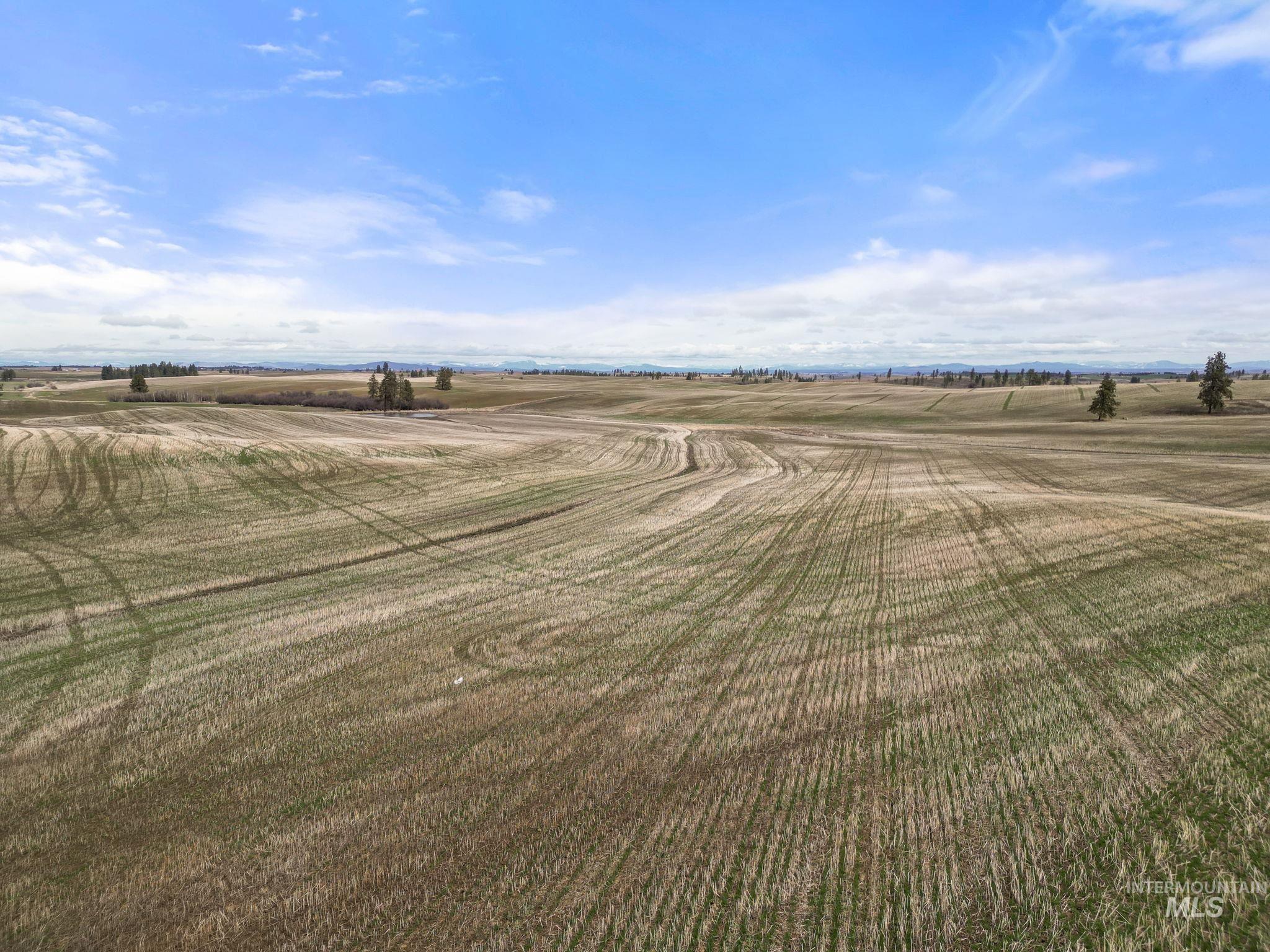 2326 Reubens Road, Reubens, Idaho 83548, Farm & Ranch For Sale, Price $1,299,000, 98975690