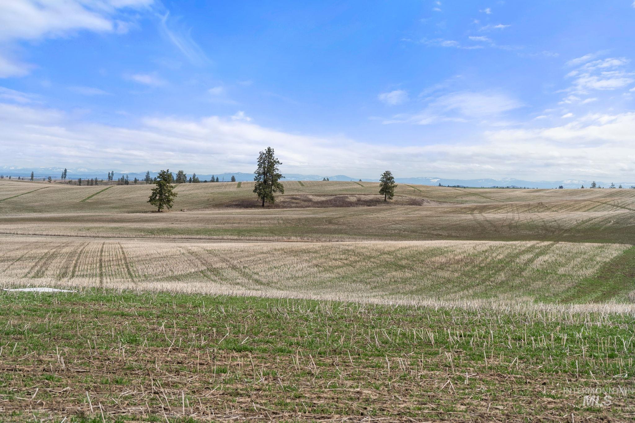 2326 Reubens Road, Reubens, Idaho 83548, Farm & Ranch For Sale, Price $1,299,000,MLS 98975690