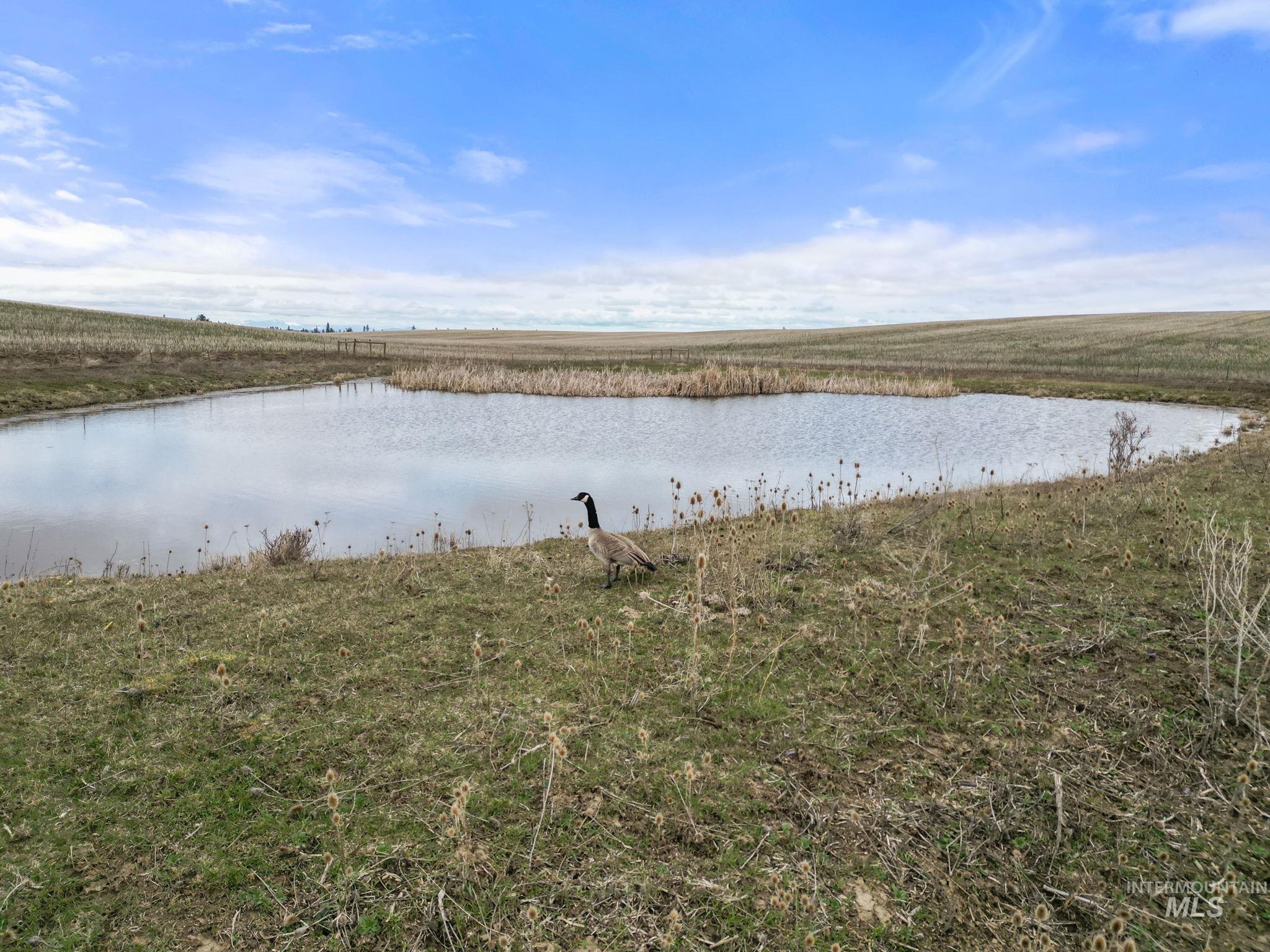2326 Reubens Road, Reubens, Idaho 83548, Farm & Ranch For Sale, Price $1,299,000,MLS 98975690