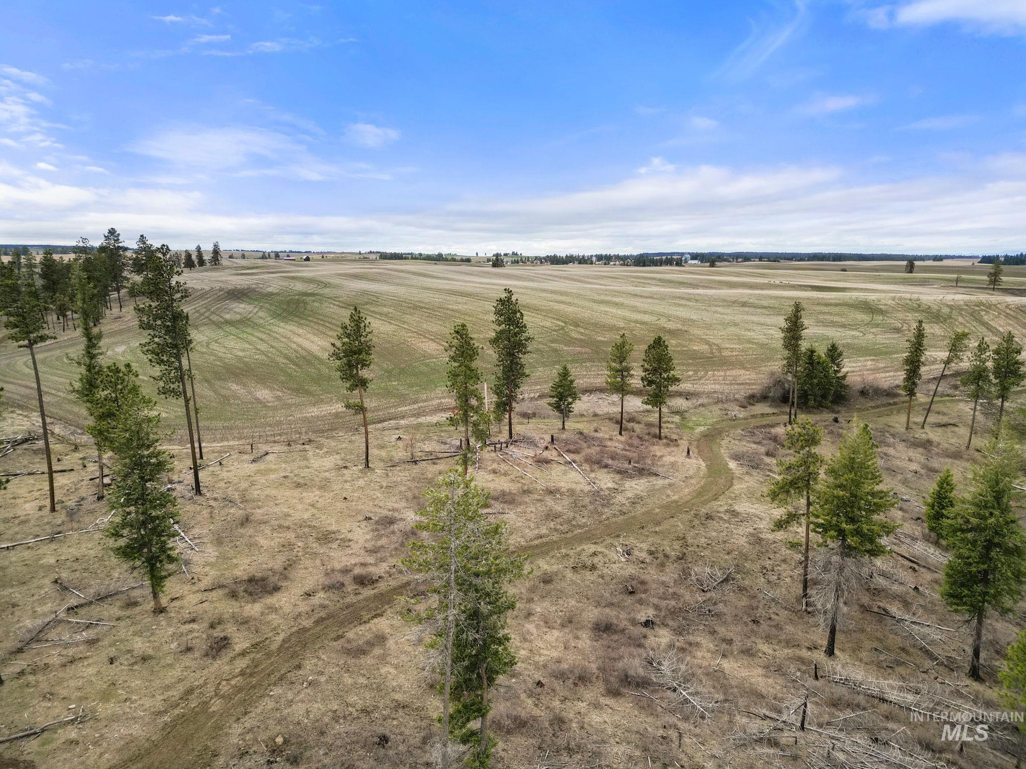 2326 Reubens Road, Reubens, Idaho 83548, Farm & Ranch For Sale, Price $1,299,000,MLS 98975690