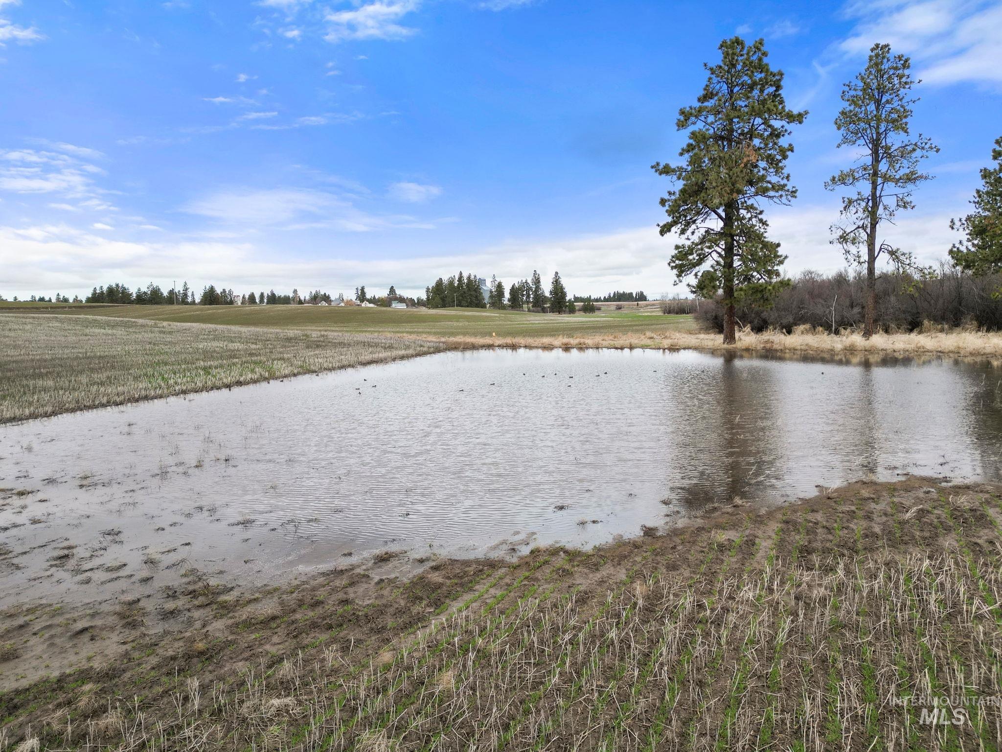 2326 Reubens Road, Reubens, Idaho 83548, Farm & Ranch For Sale, Price $1,299,000,MLS 98975690