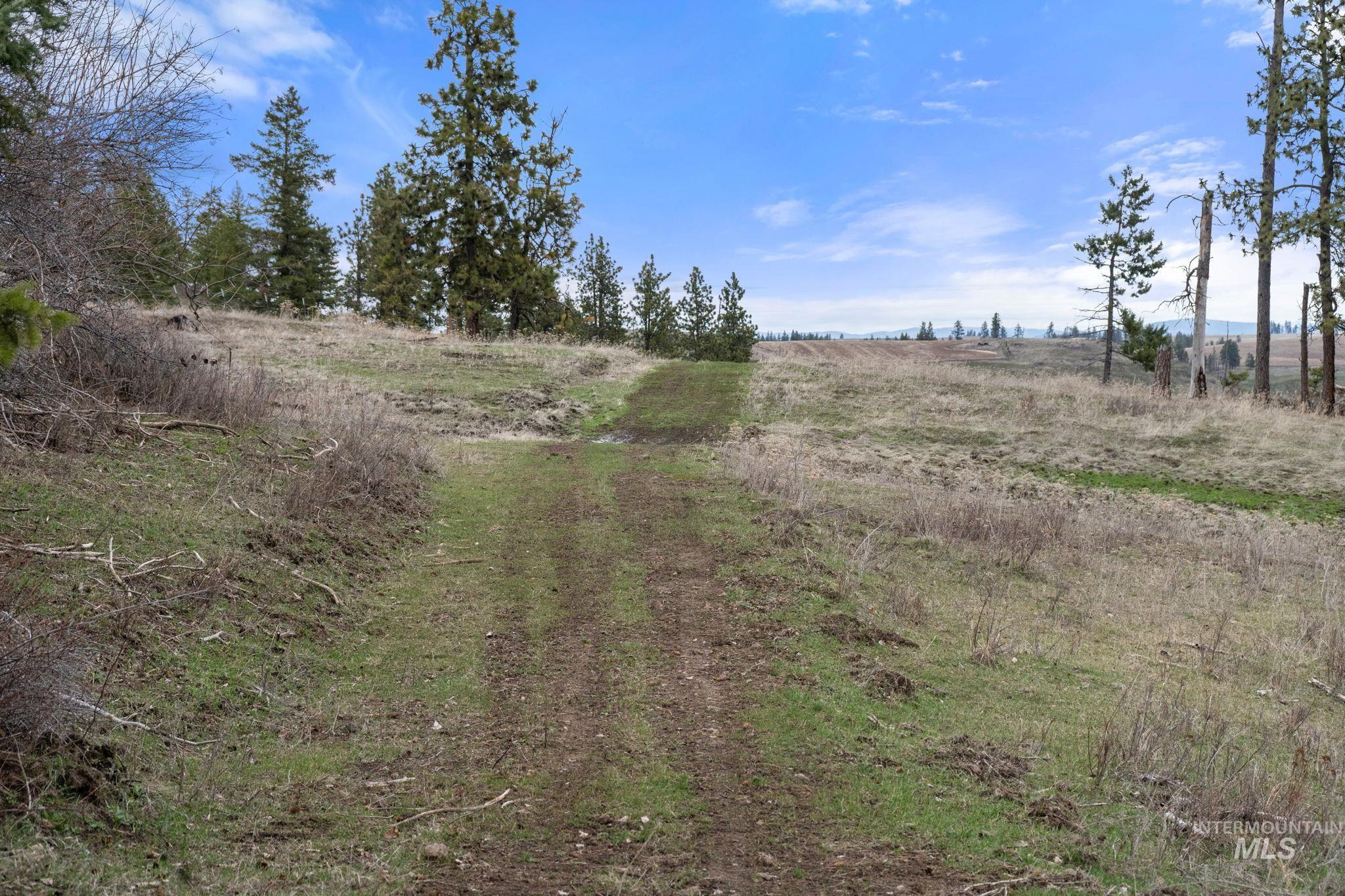 2326 Reubens Road, Reubens, Idaho 83548, Farm & Ranch For Sale, Price $1,299,000,MLS 98975690