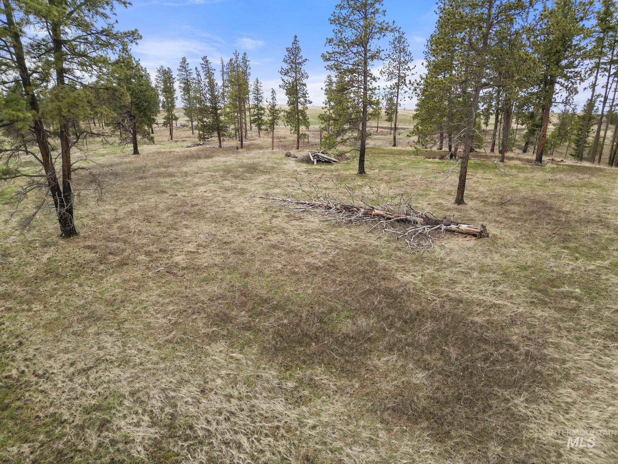 2326 Reubens Road, Reubens, Idaho 83548, Farm & Ranch For Sale, Price $1,299,000,MLS 98975690