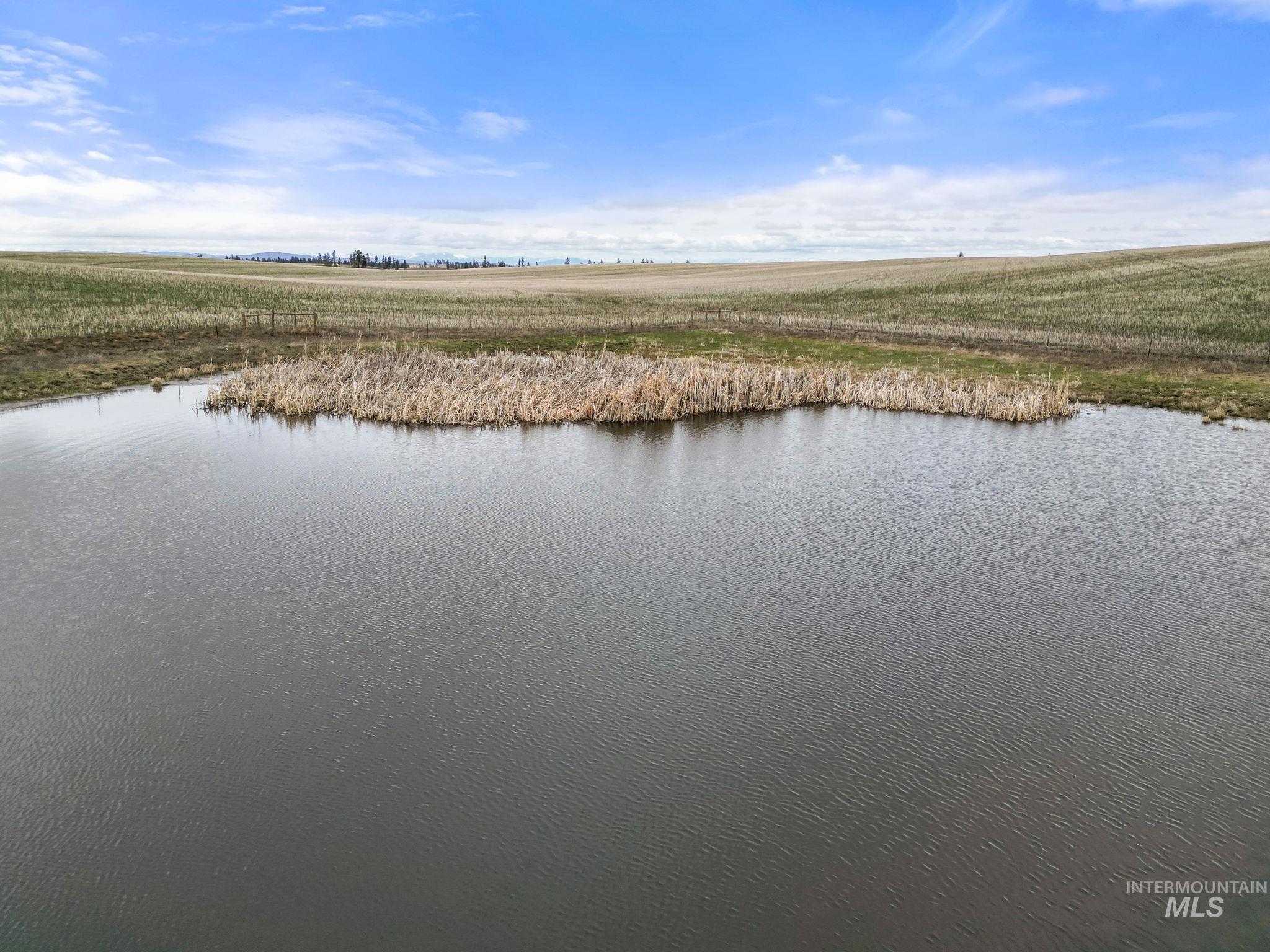 2326 Reubens Road, Reubens, Idaho 83548, Farm & Ranch For Sale, Price $1,299,000, 98975690