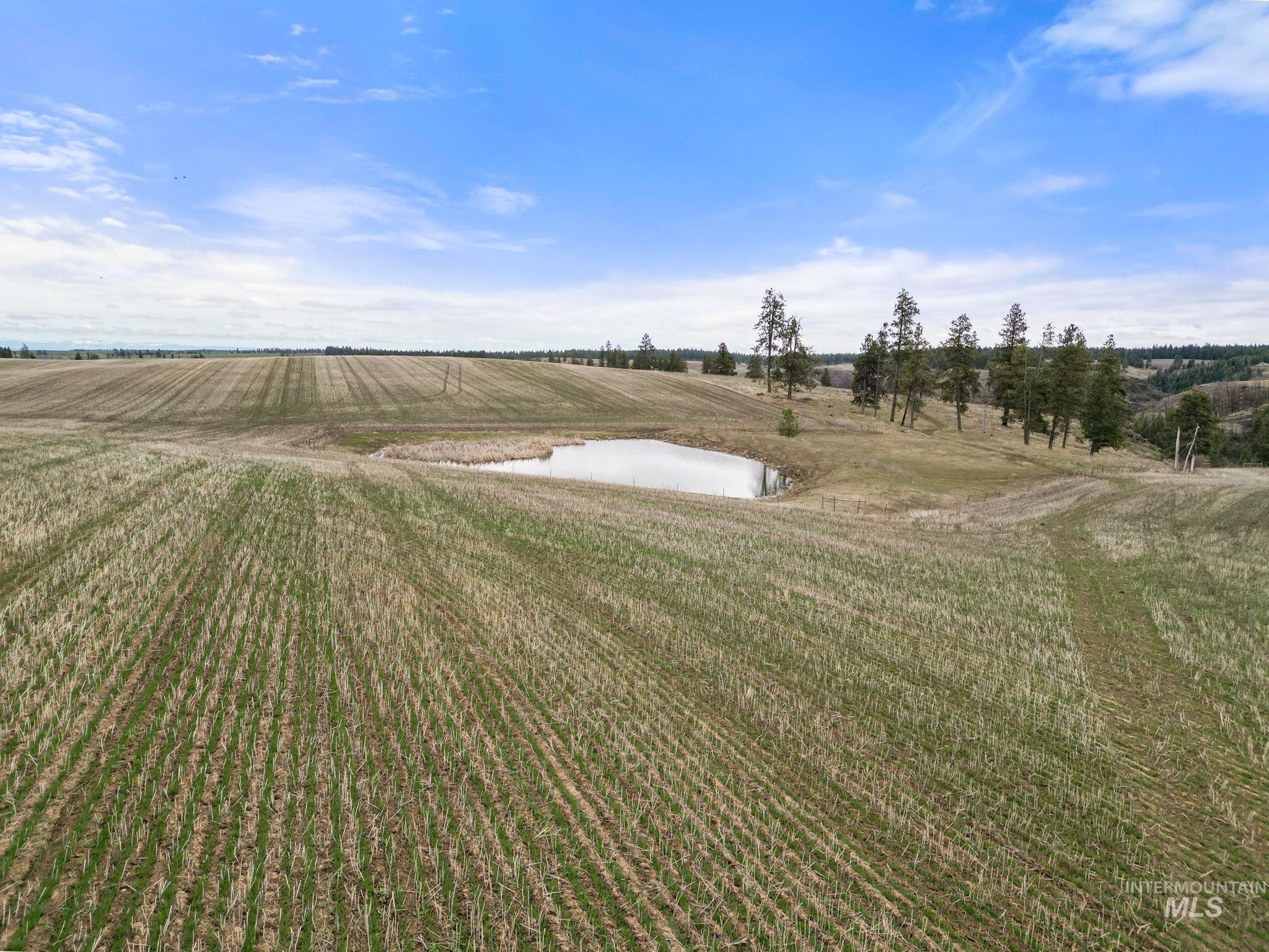 2326 Reubens Road, Reubens, Idaho 83548, Farm & Ranch For Sale, Price $1,299,000,MLS 98975690