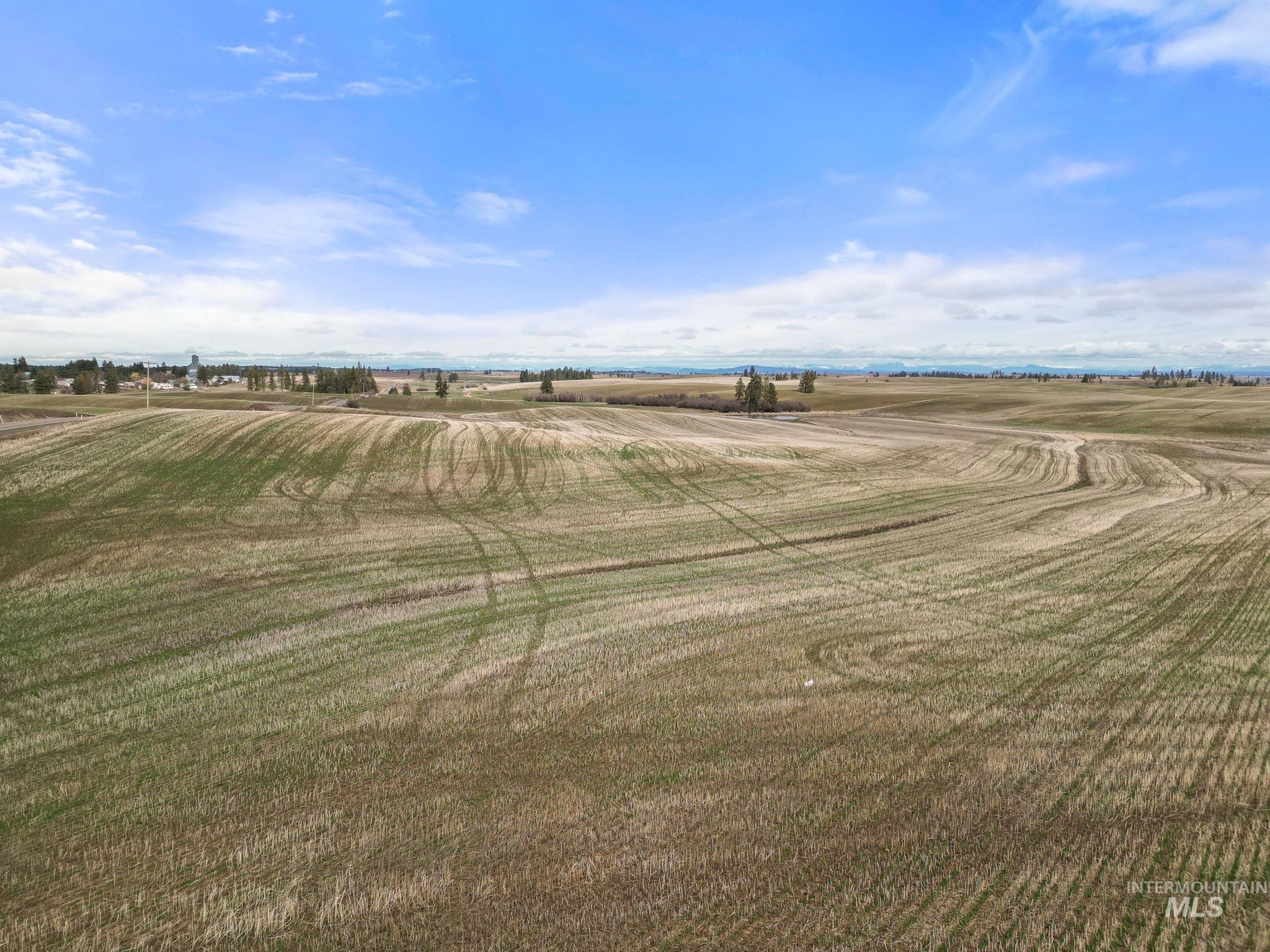 2326 Reubens Road, Reubens, Idaho 83548, Farm & Ranch For Sale, Price $1,299,000,MLS 98975690