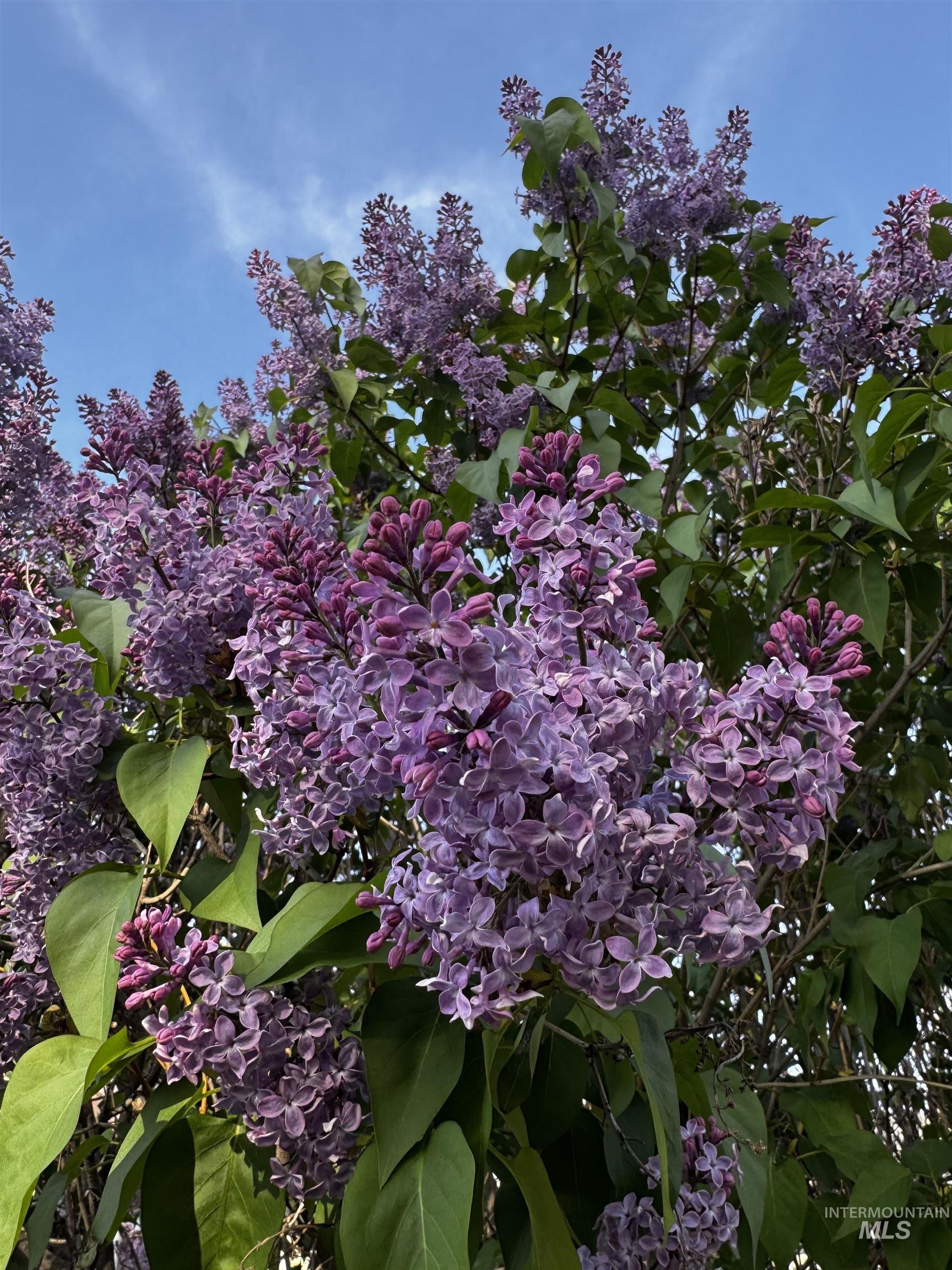 12482 W Tevoit, Boise, Idaho 83709, 3 Bedrooms, 2.5 Bathrooms, Residential For Sale, Price $499,990,MLS 98975698