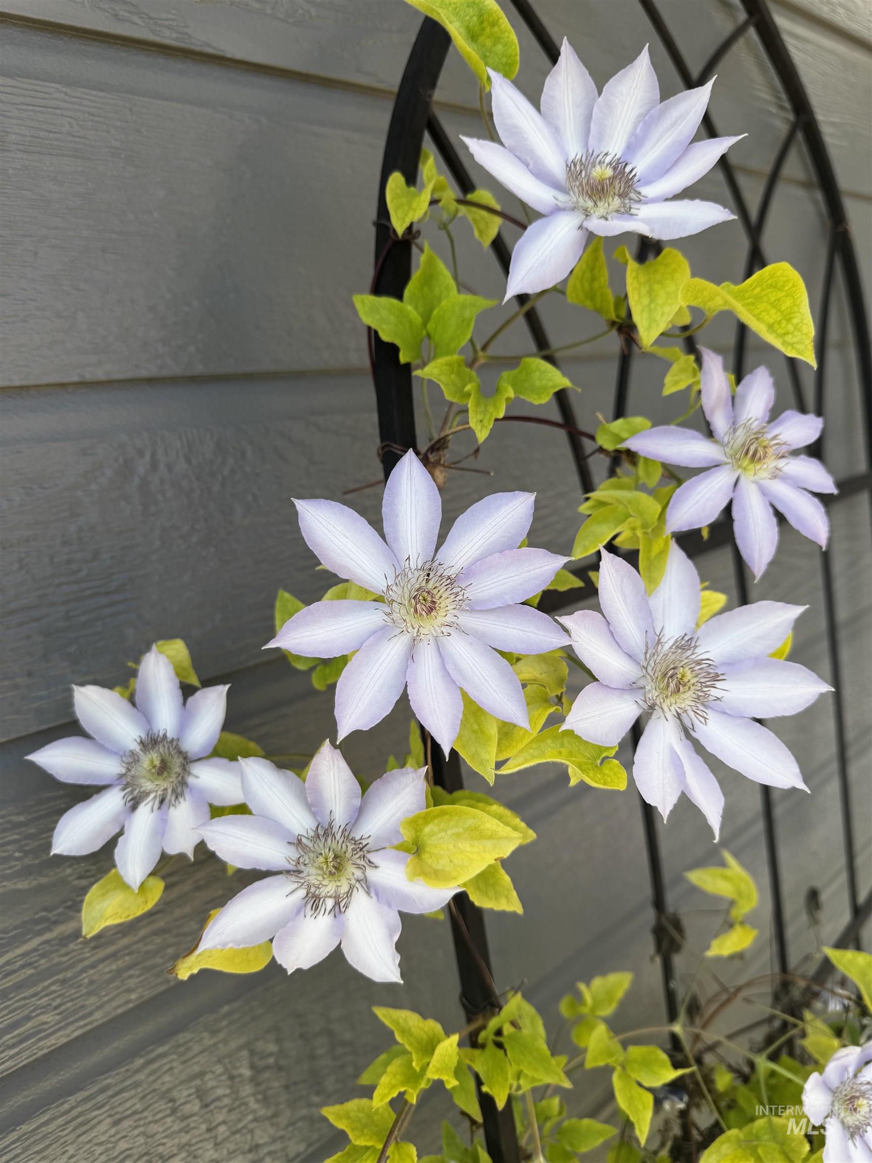 12482 W Tevoit, Boise, Idaho 83709, 3 Bedrooms, 2.5 Bathrooms, Residential For Sale, Price $499,990,MLS 98975698