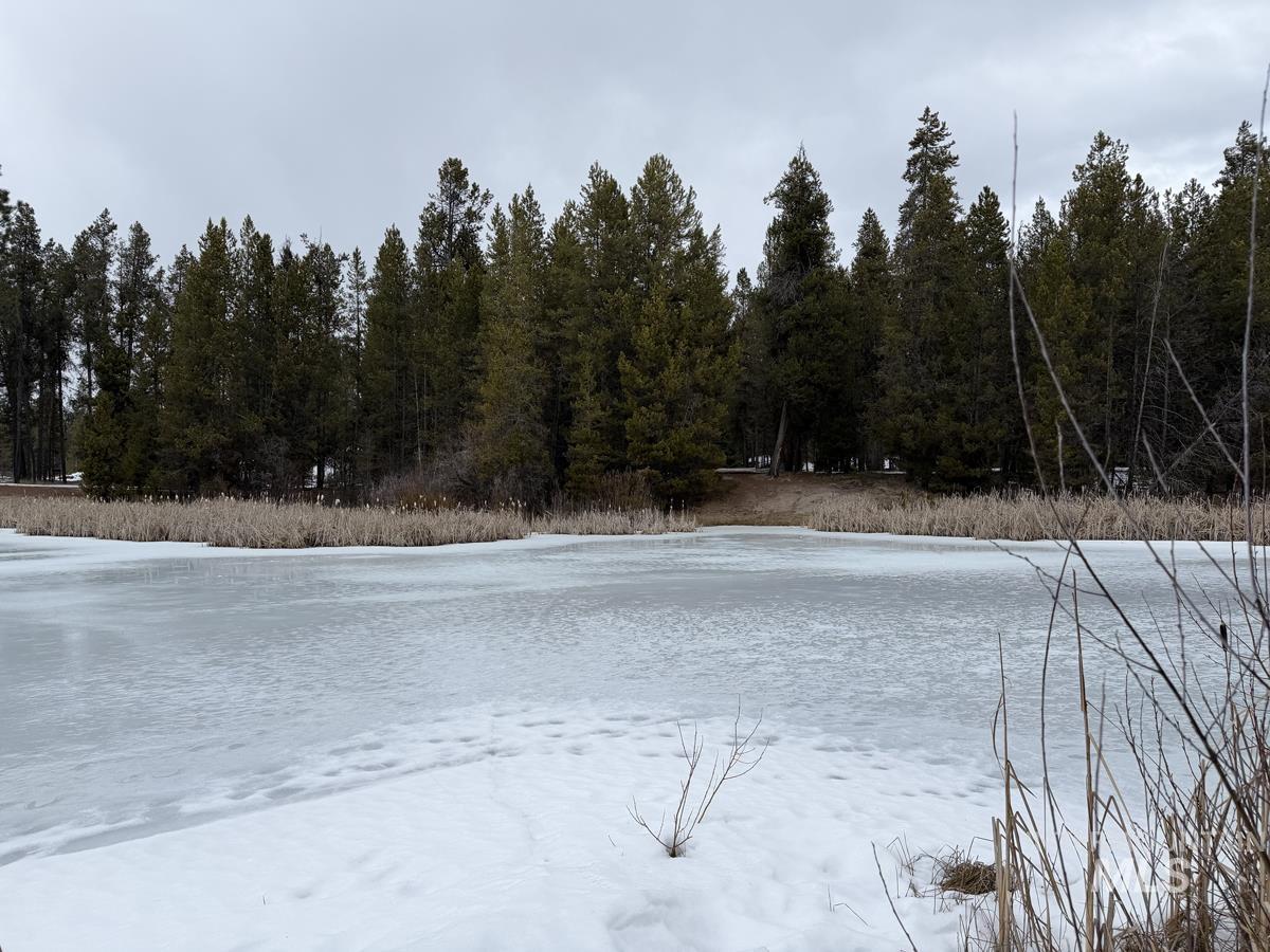 211 Pointes Road, Cascade, Idaho 83611-9999, Land For Sale, Price $359,000,MLS 98975731