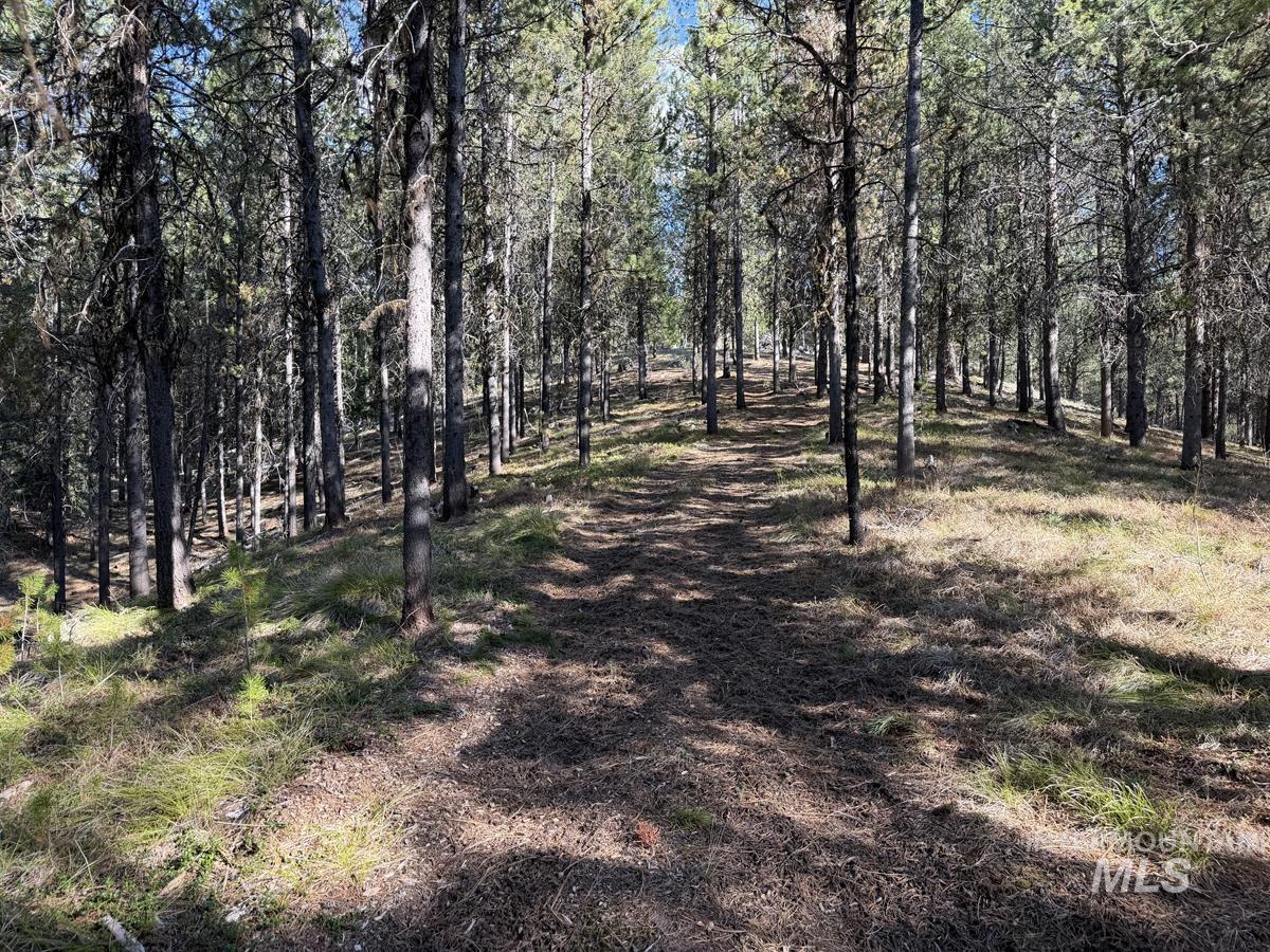 211 Pointes Road, Cascade, Idaho 83611-9999, Land For Sale, Price $345,000, 98975731