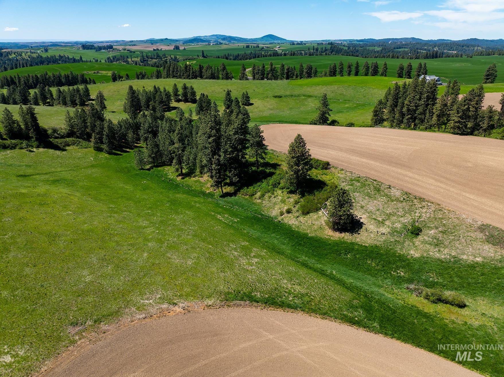 TBD Burnt Ridge Rd parcel 2, Troy, Idaho 83871, Land For Sale, Price $435,000,MLS 98975741