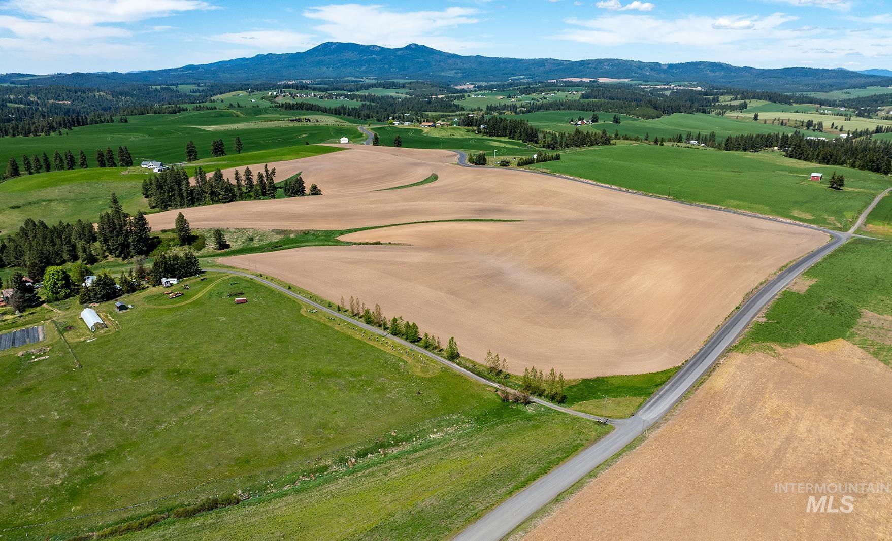 TBD Burnt Ridge Rd parcel 2, Troy, Idaho 83871, Land For Sale, Price $435,000,MLS 98975741