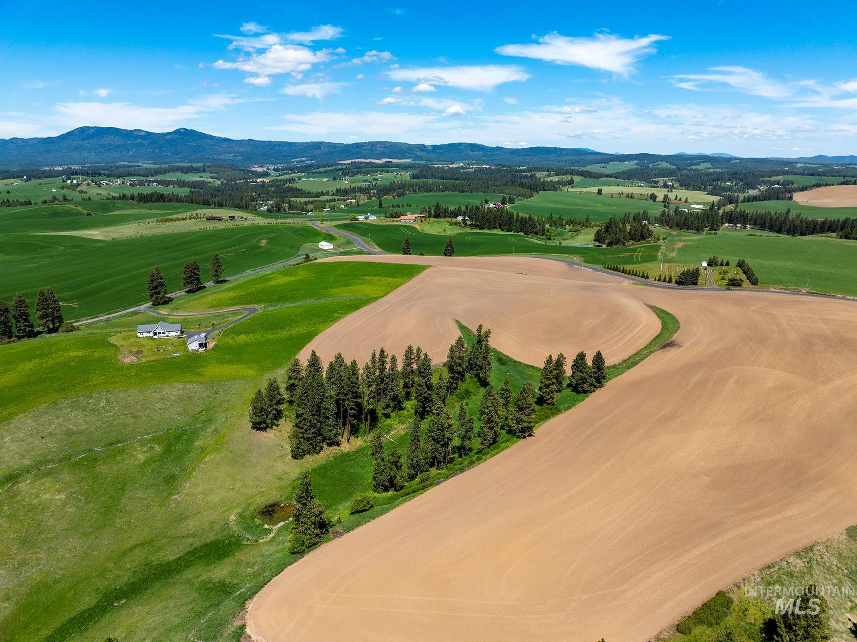 TBD Burnt Ridge Rd parcel 1, Troy, Idaho 83871, Land For Sale, Price $435,000,MLS 98975742