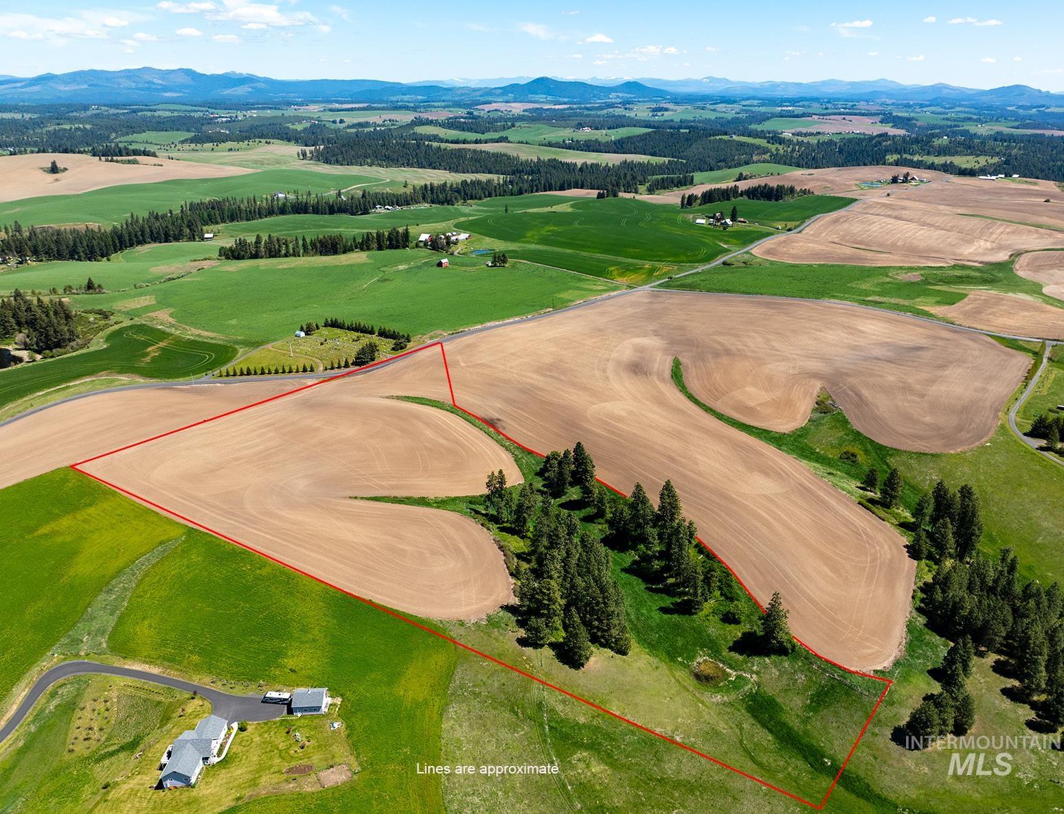 TBD Burnt Ridge Rd parcel 1, Troy, Idaho 83871, Land For Sale, Price $435,000,MLS 98975742