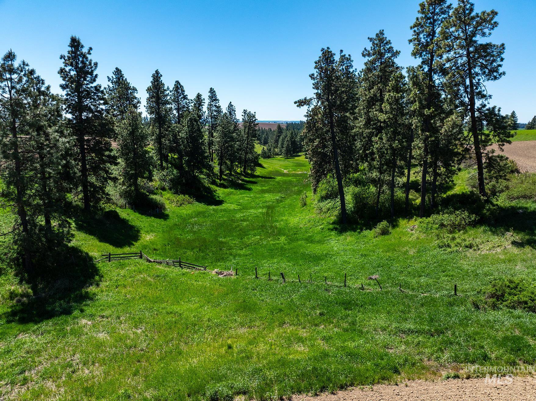 TBD Burnt Ridge Rd parcel 1, Troy, Idaho 83871, Land For Sale, Price $435,000,MLS 98975742