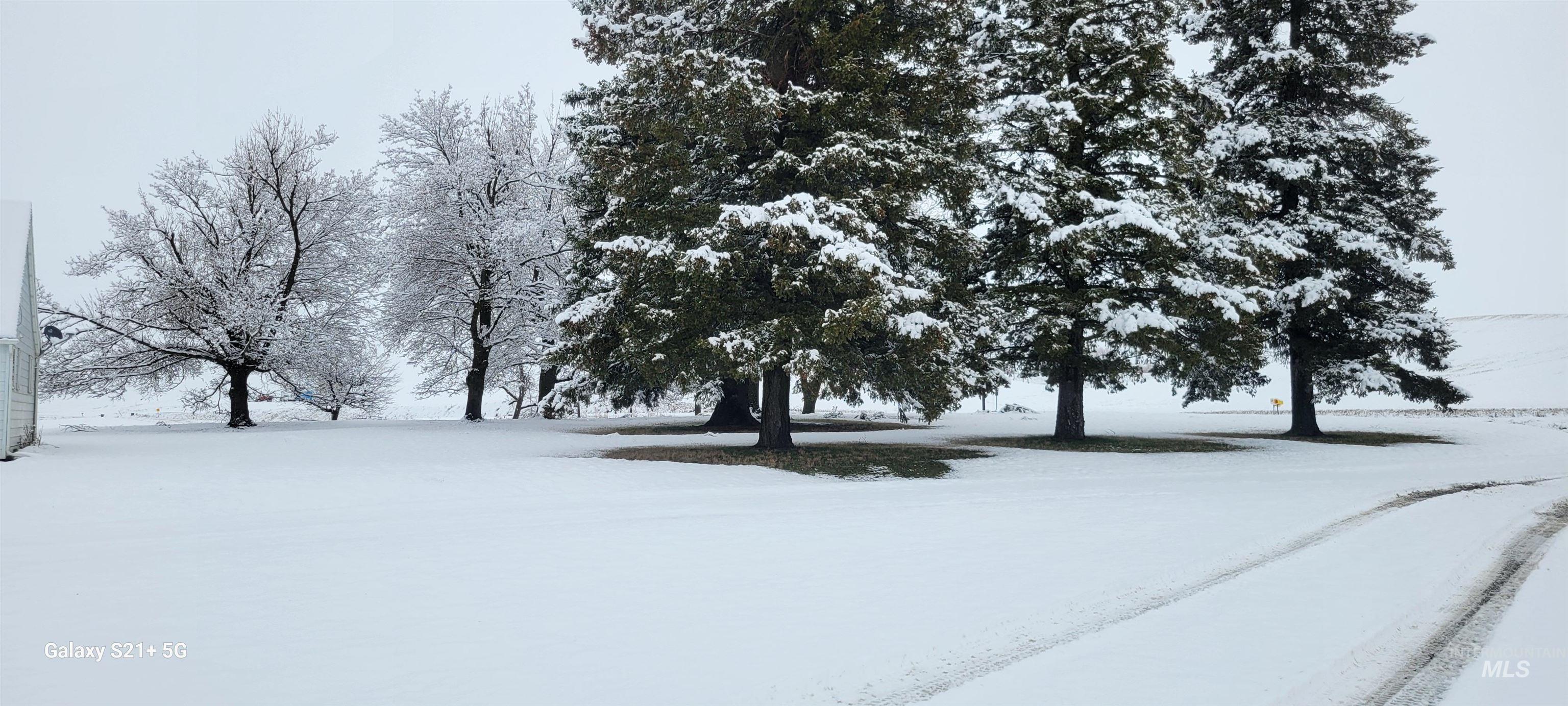 1044 Martinson Rd, Genesee, Idaho 83843, 3 Bedrooms, 4 Bathrooms, Residential For Sale, Price $595,000,MLS 98975763