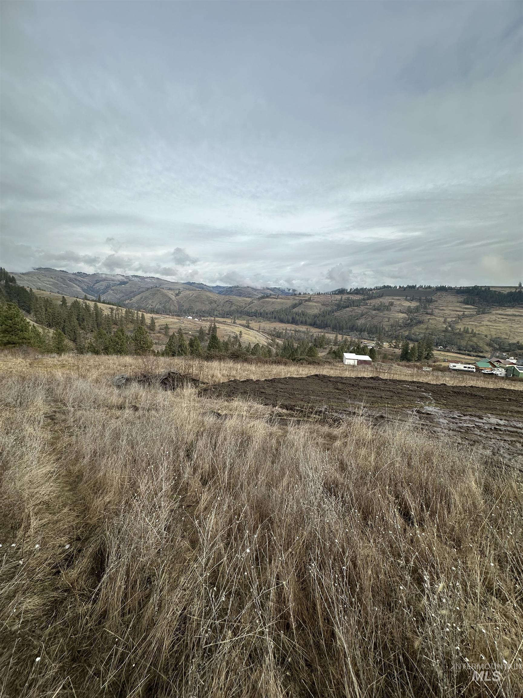TBD Canyon Dr, Kooskia, Idaho 83539, Land For Sale, Price $68,000,MLS 98975771