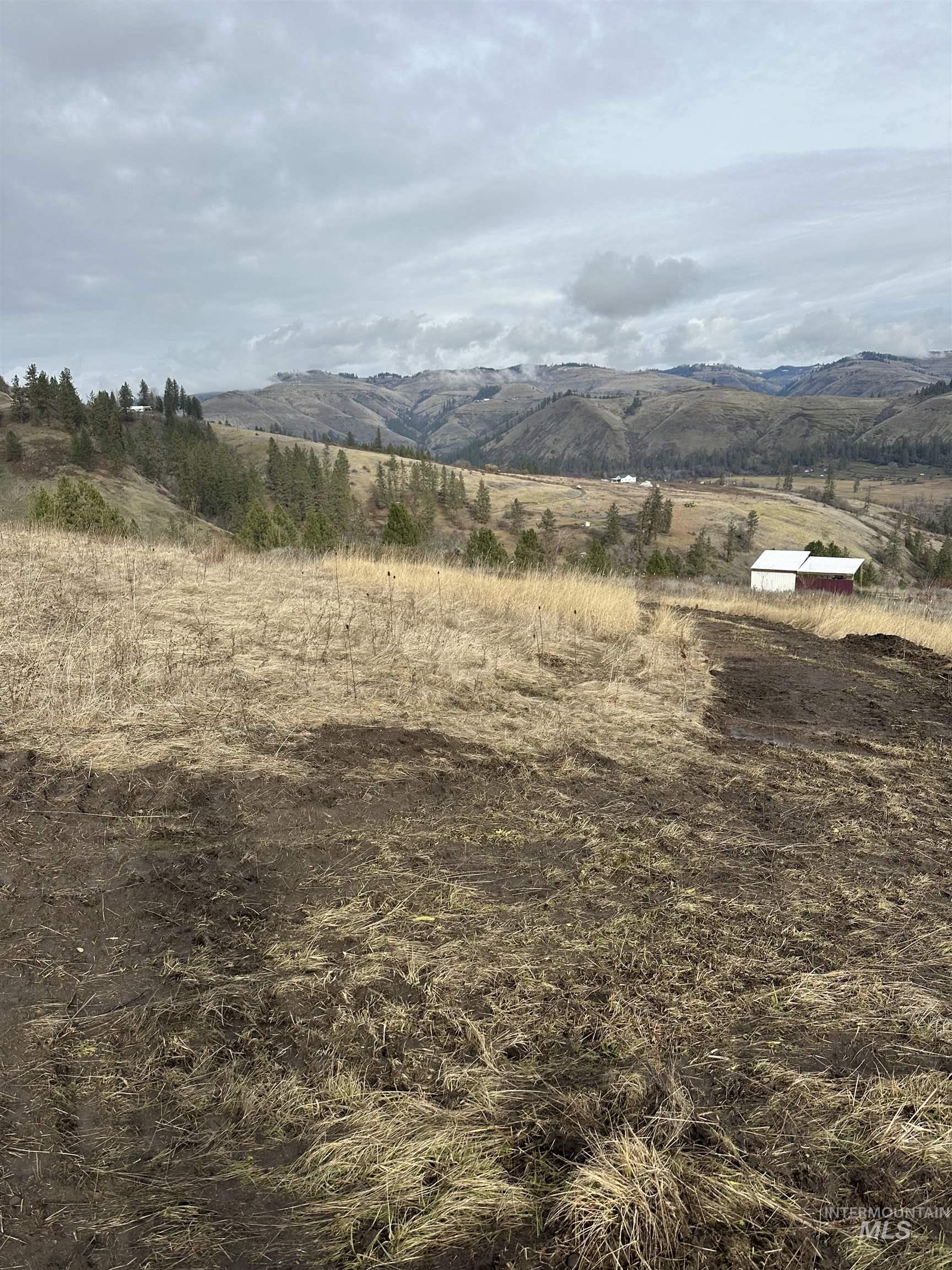 TBD Canyon Dr, Kooskia, Idaho 83539, Land For Sale, Price $68,000,MLS 98975771