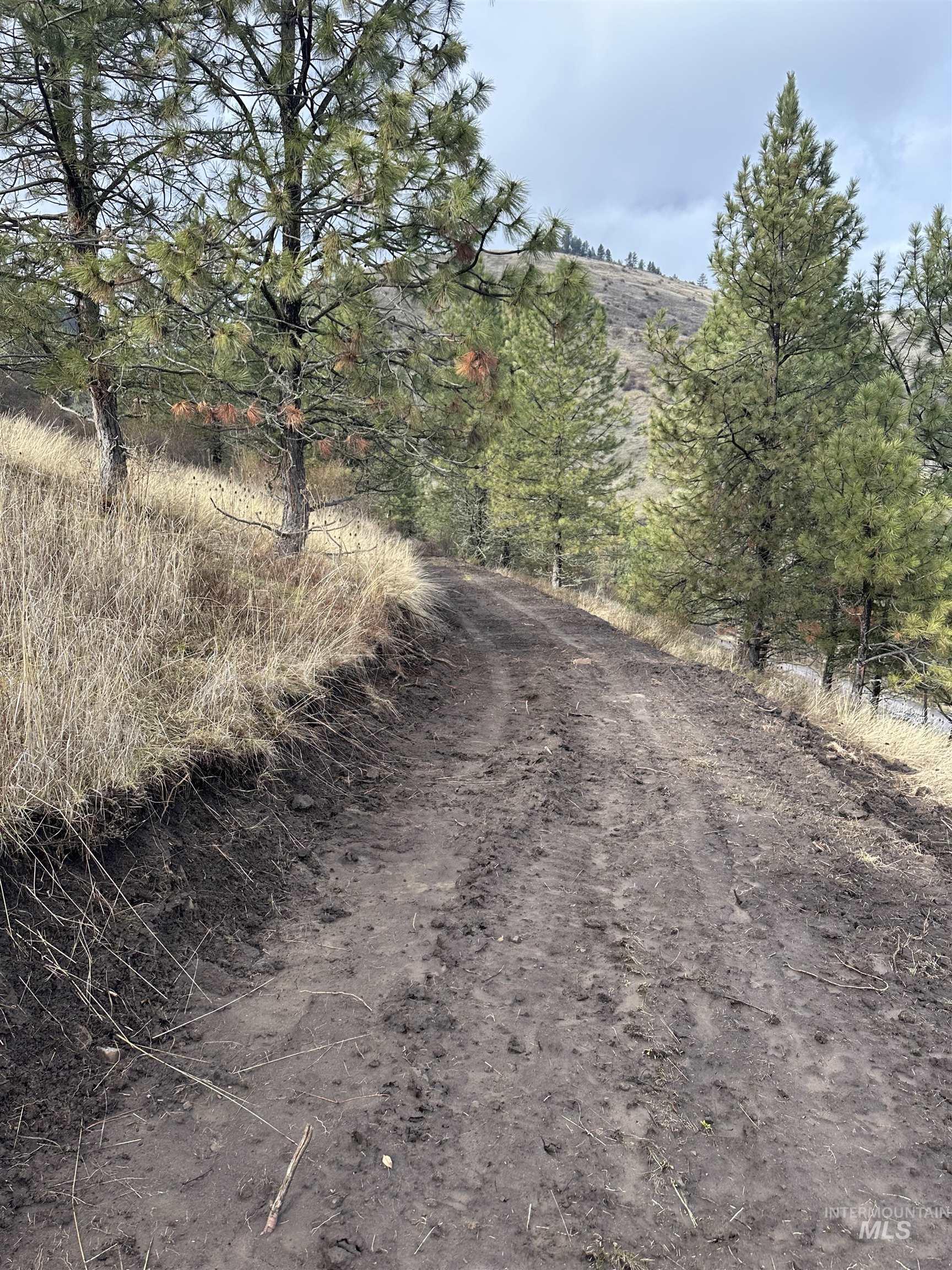 TBD Canyon Dr, Kooskia, Idaho 83539, Land For Sale, Price $68,000,MLS 98975771