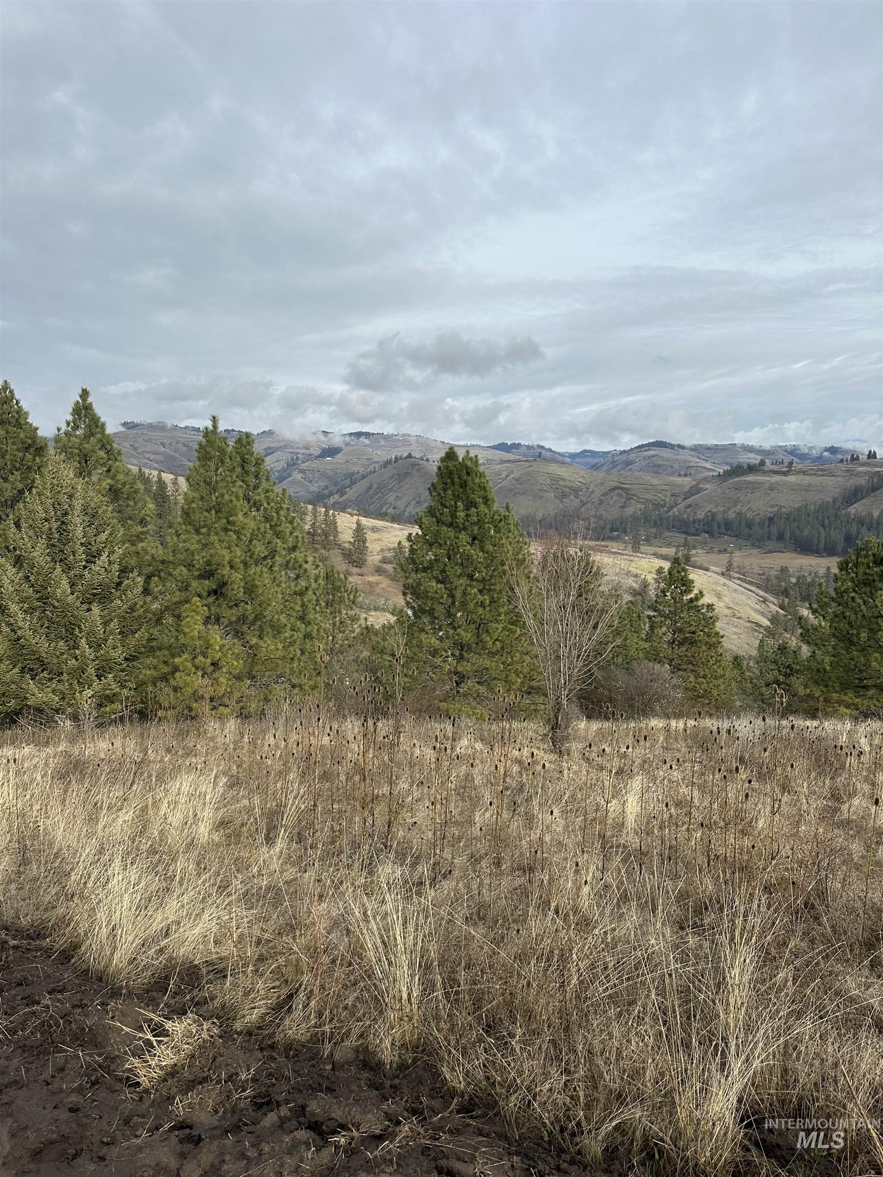 TBD Canyon Dr, Kooskia, Idaho 83539, Land For Sale, Price $68,000,MLS 98975771