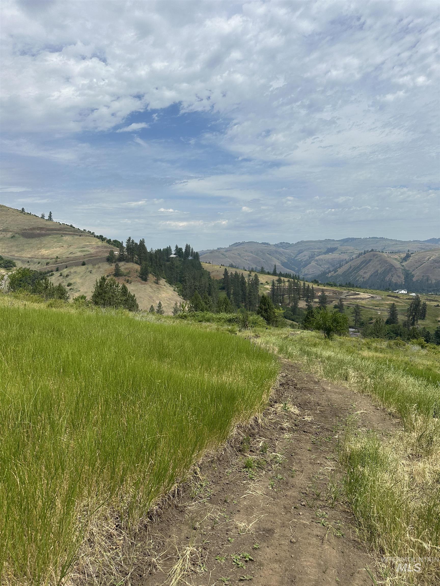 TBD Canyon Dr, Kooskia, Idaho 83539, Land For Sale, Price $68,000,MLS 98975771