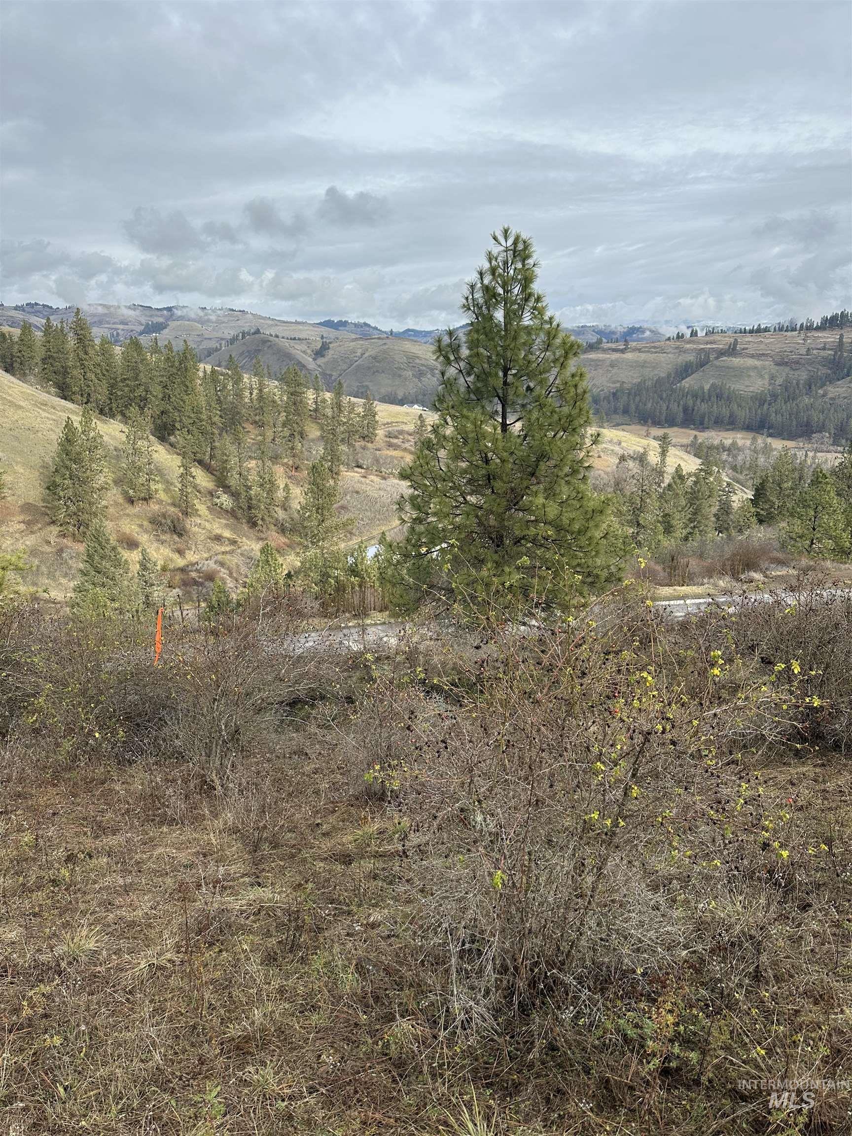 TBD Canyon Dr, Kooskia, Idaho 83539, Land For Sale, Price $68,000,MLS 98975771
