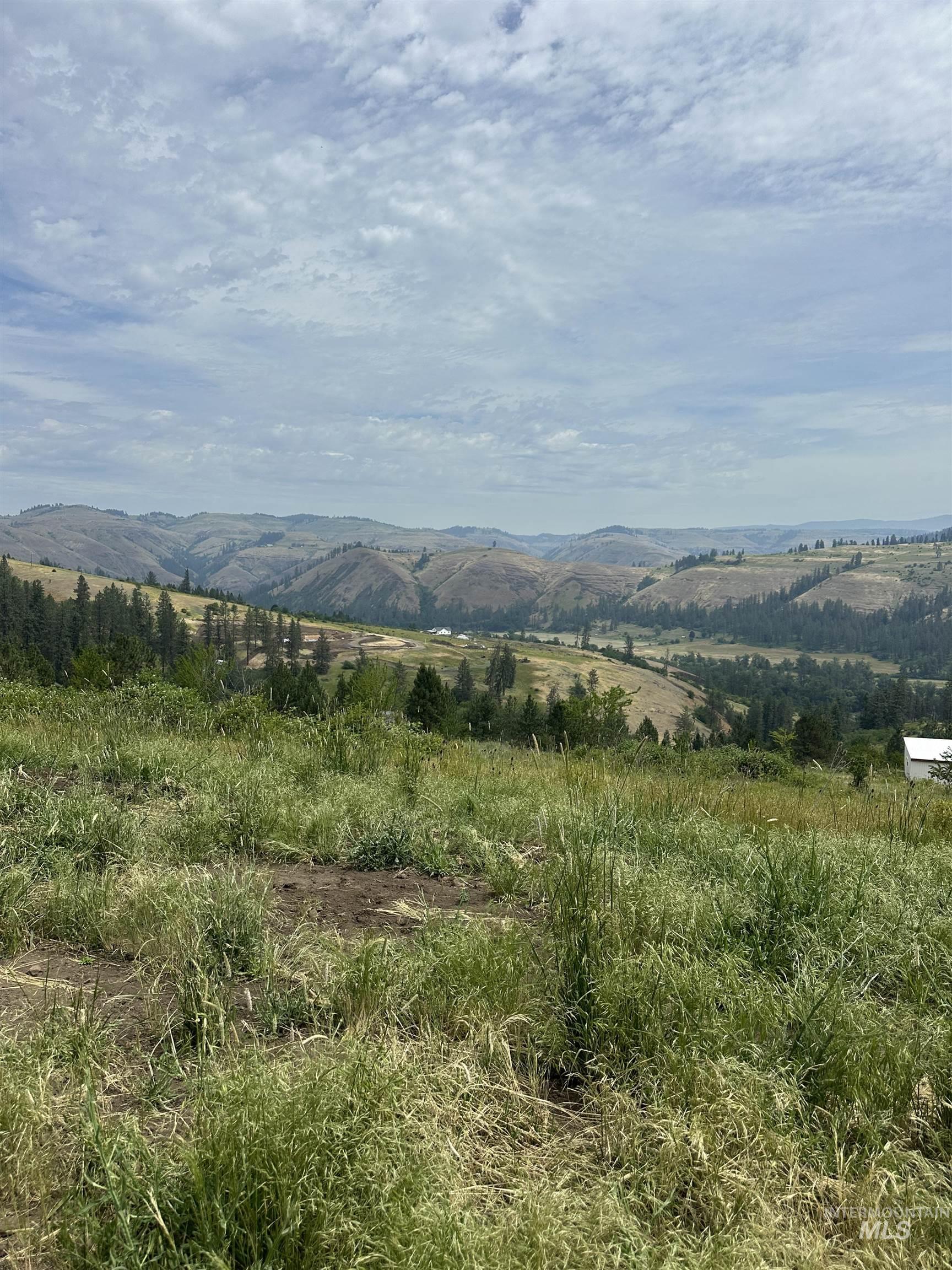 TBD Canyon Dr, Kooskia, Idaho 83539, Land For Sale, Price $68,000,MLS 98975771