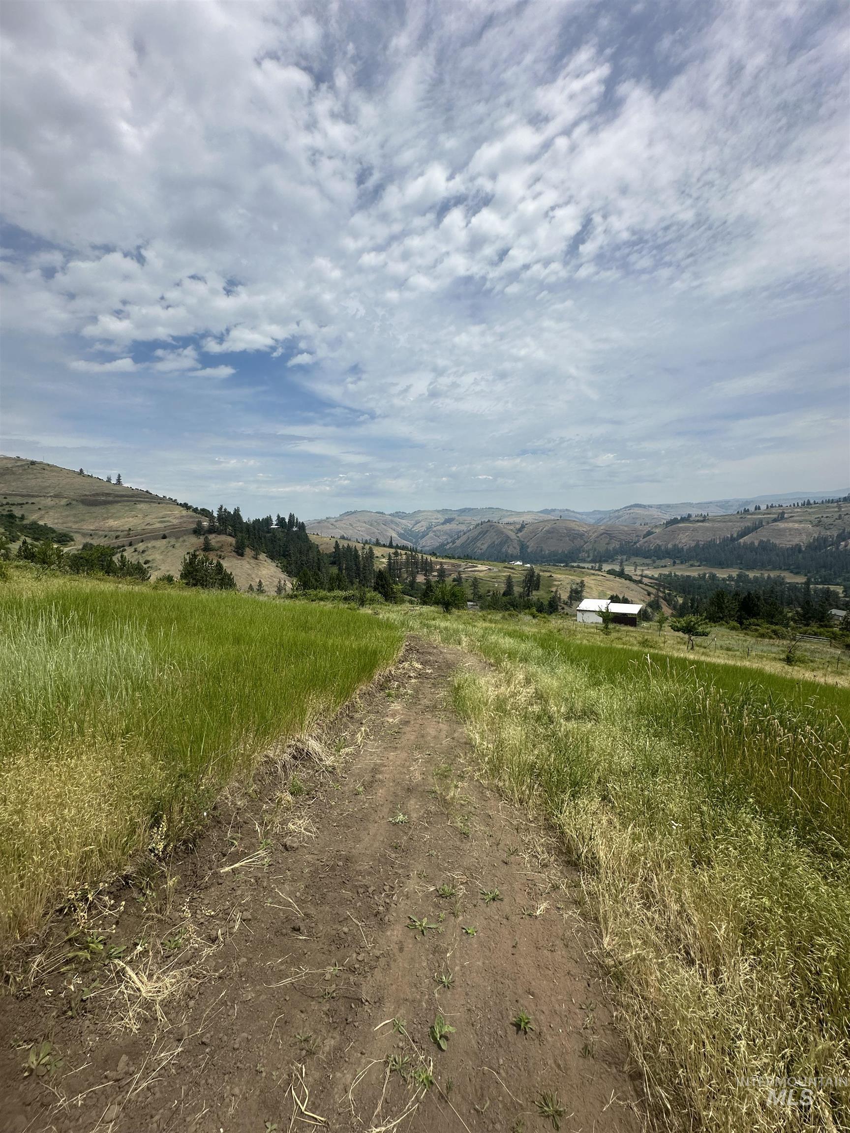 TBD Canyon Dr, Kooskia, Idaho 83539, Land For Sale, Price $68,000,MLS 98975771