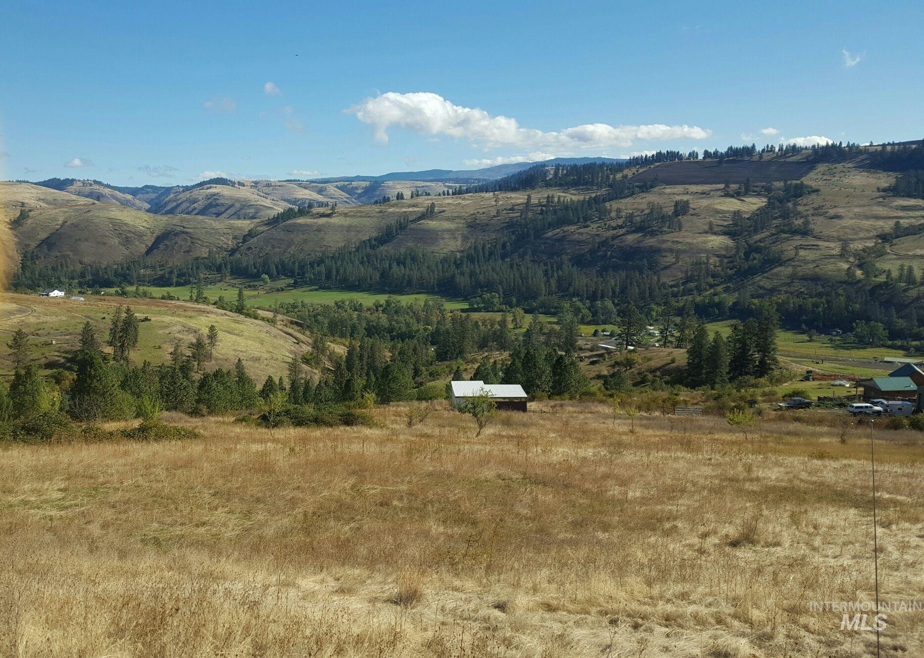 TBD Canyon Dr, Kooskia, Idaho 83539, Land For Sale, Price $68,000,MLS 98975771