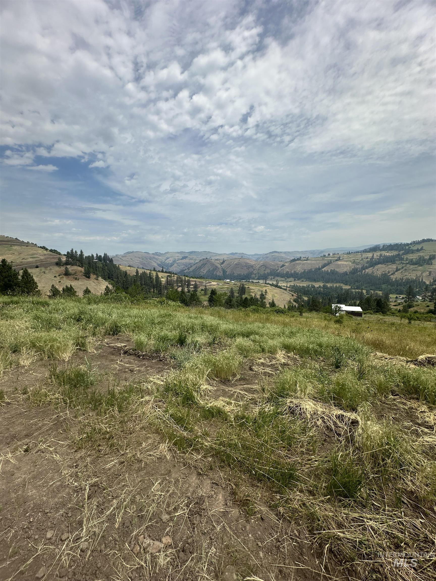 TBD Canyon Dr, Kooskia, Idaho 83539, Land For Sale, Price $68,000,MLS 98975771