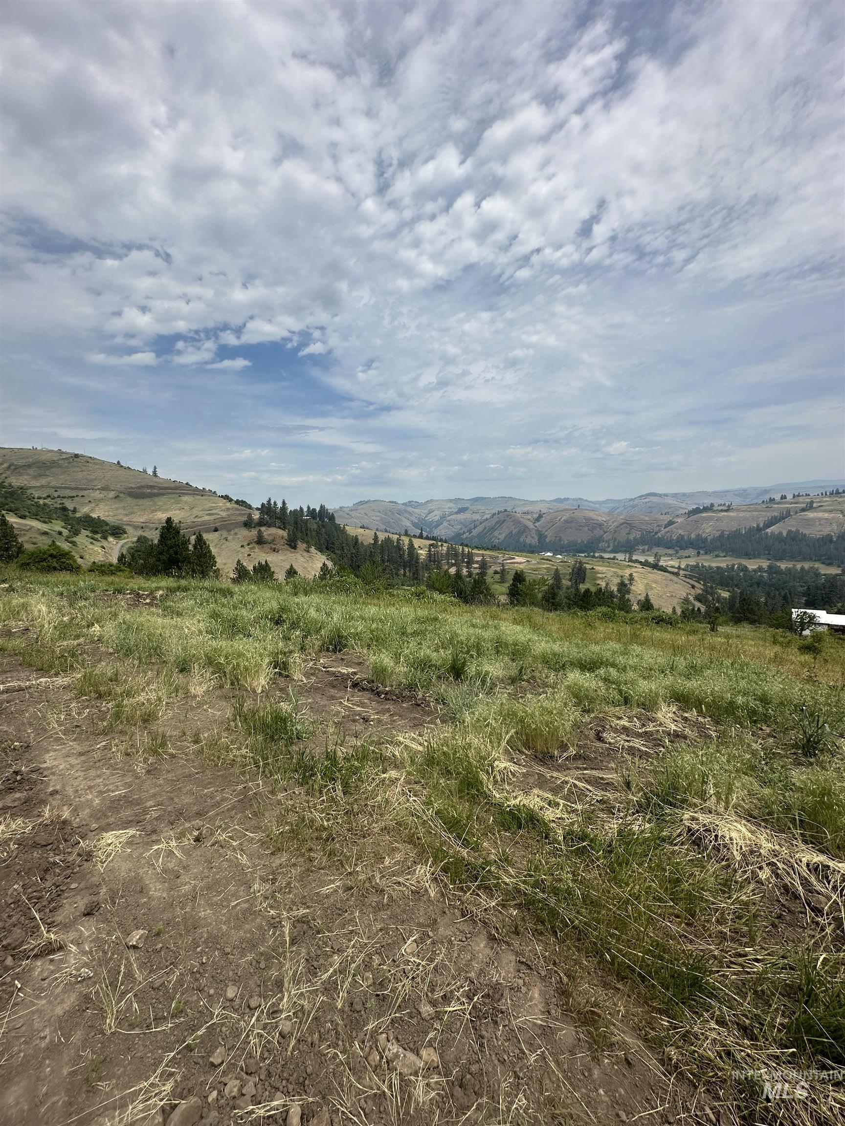 TBD Canyon Dr, Kooskia, Idaho 83539, Land For Sale, Price $68,000,MLS 98975771