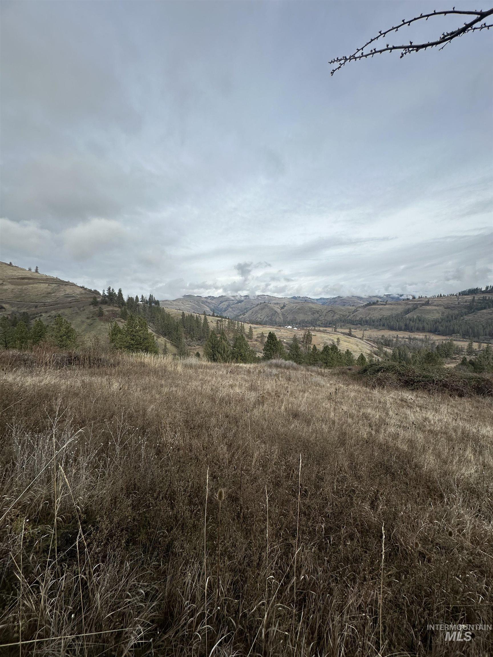 TBD Canyon Dr, Kooskia, Idaho 83539, Land For Sale, Price $68,000,MLS 98975771